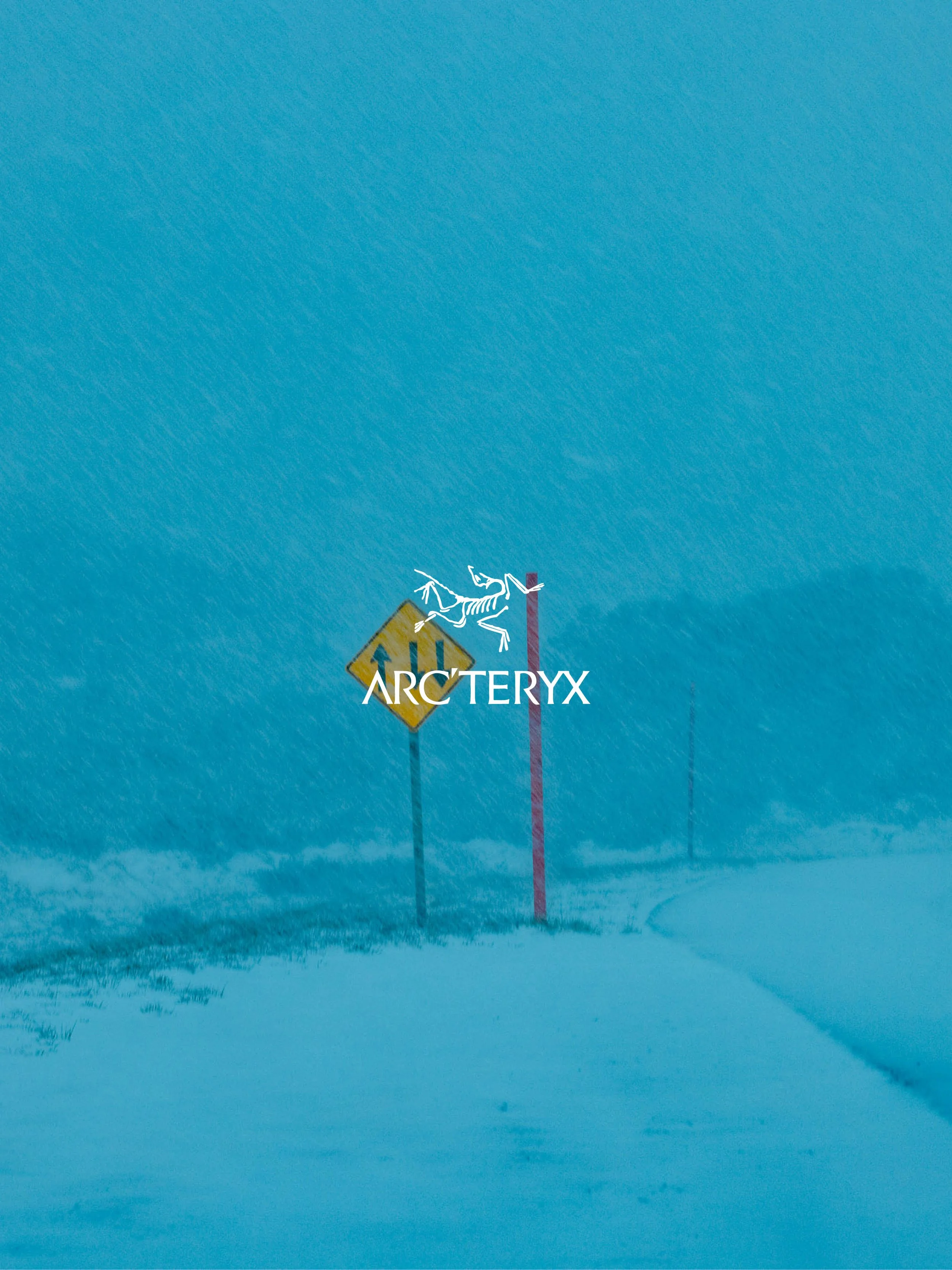 Arcteryx 1.jpg