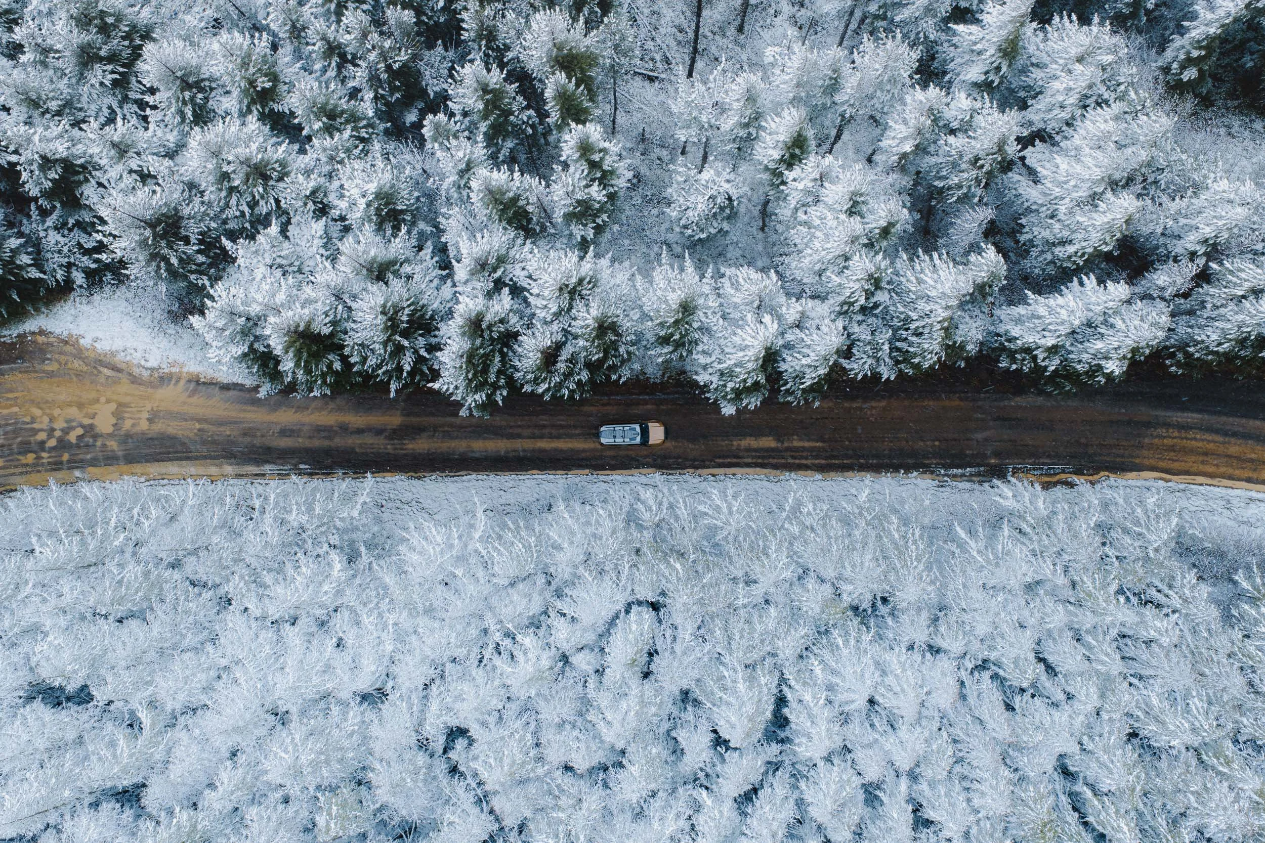 RICH GIBBINS_DJI_20251001135212_0029_D.jpg