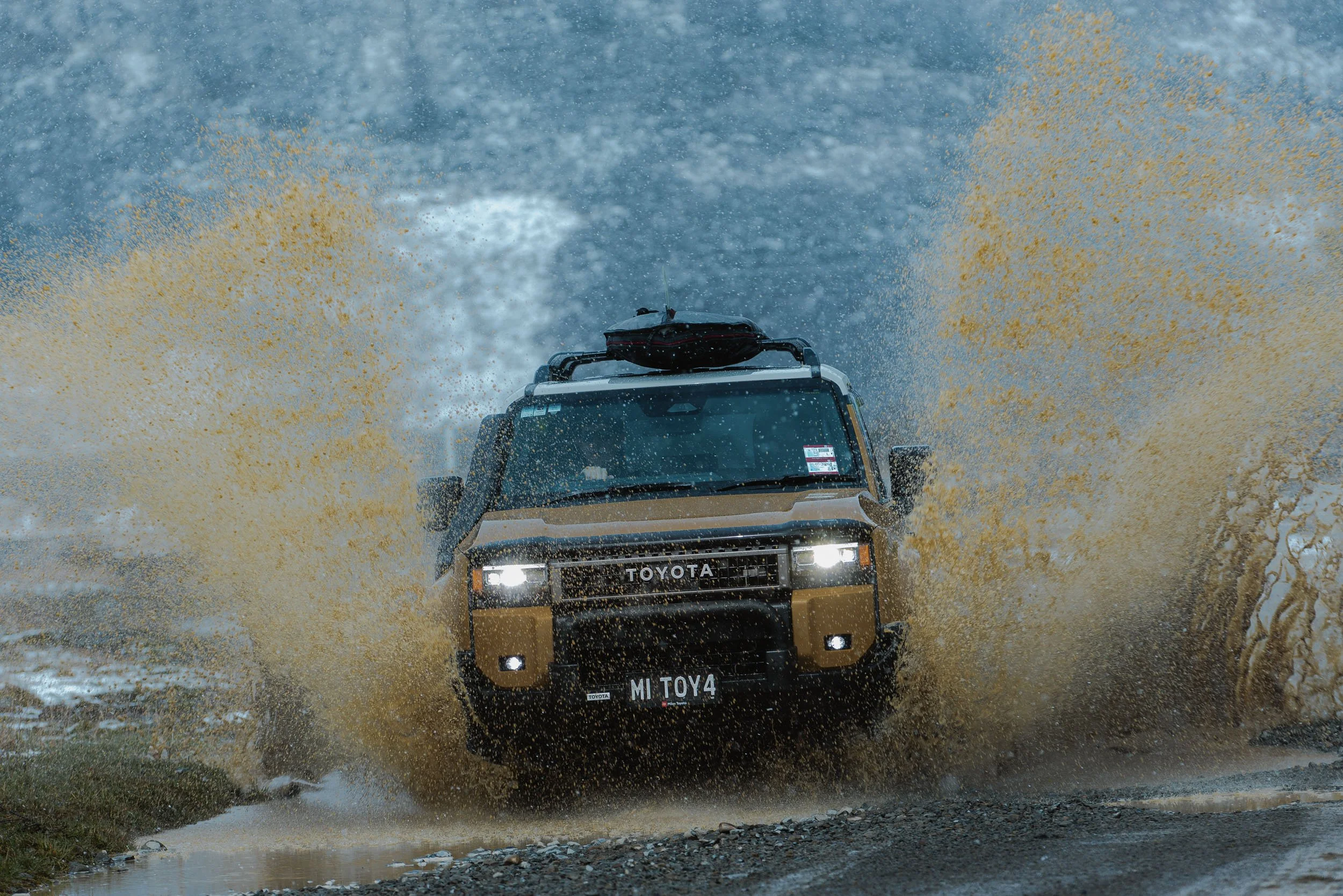 RICH GIBBINS__RG_7233.jpg