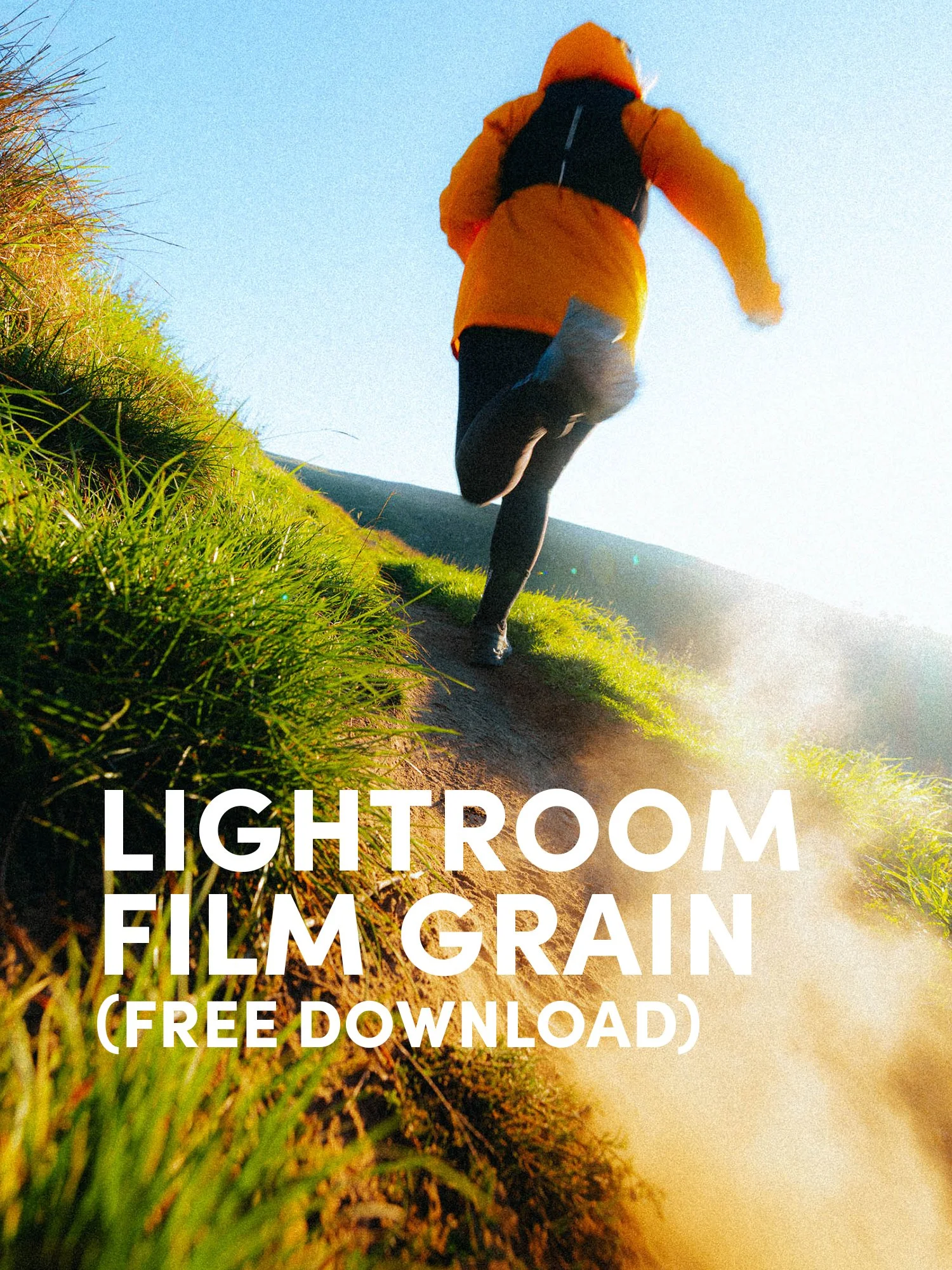 Free Grain.jpg