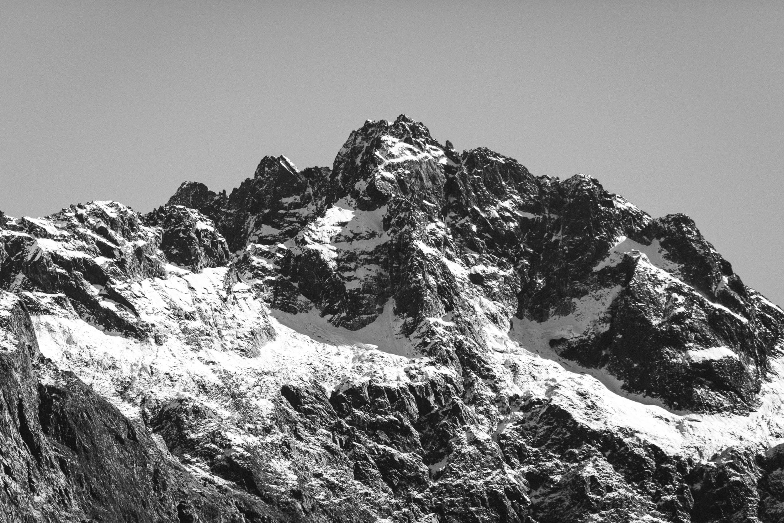 GIBBINS__RG_9843.jpg