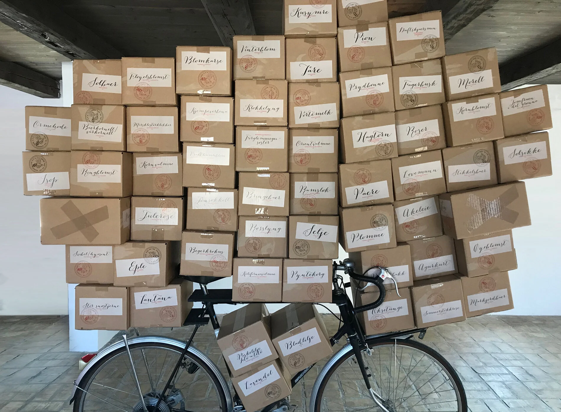 Where have all the flowers gone