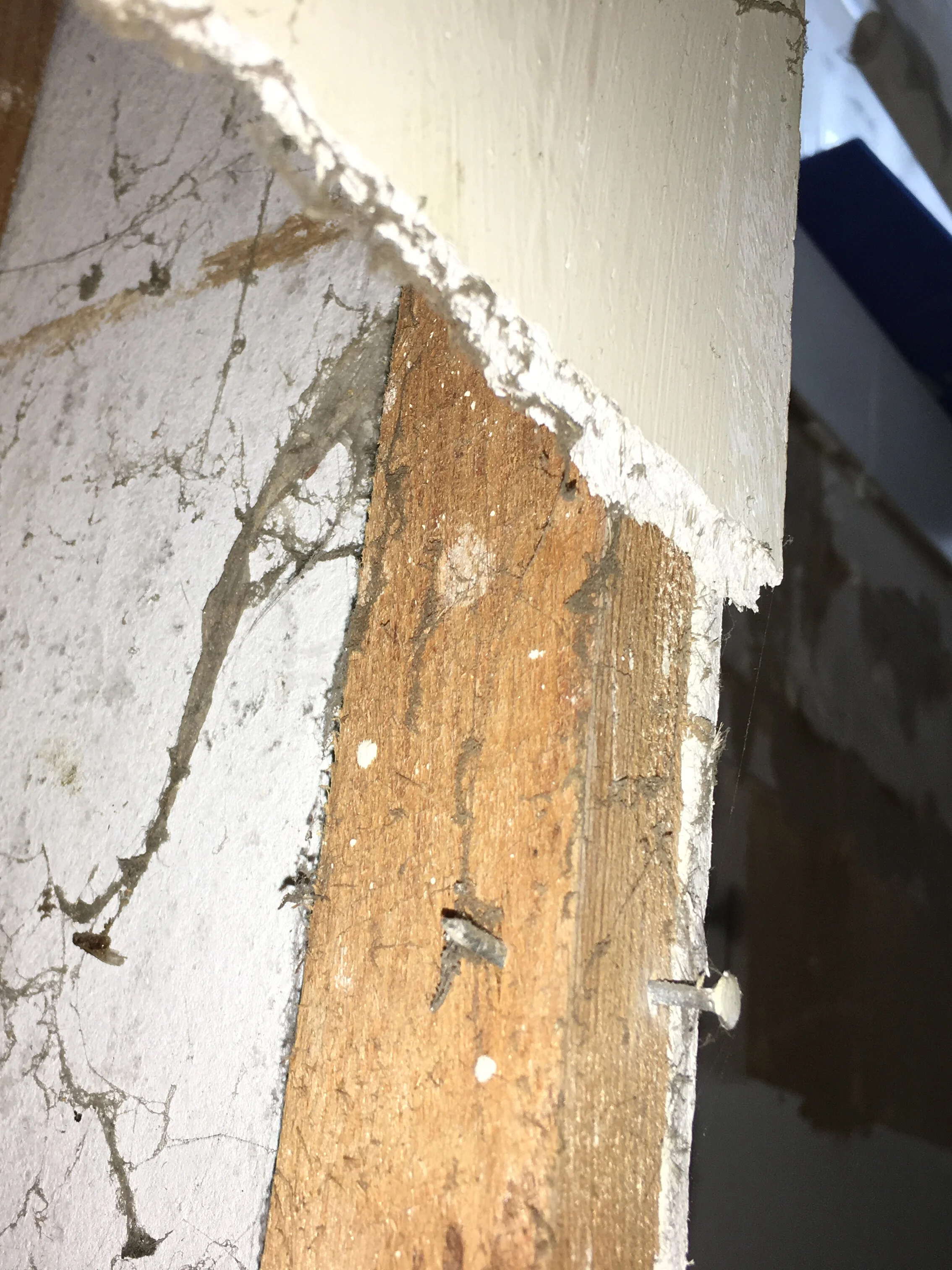 Asbestos Survey and Management — Constructive Evaluation Ltd