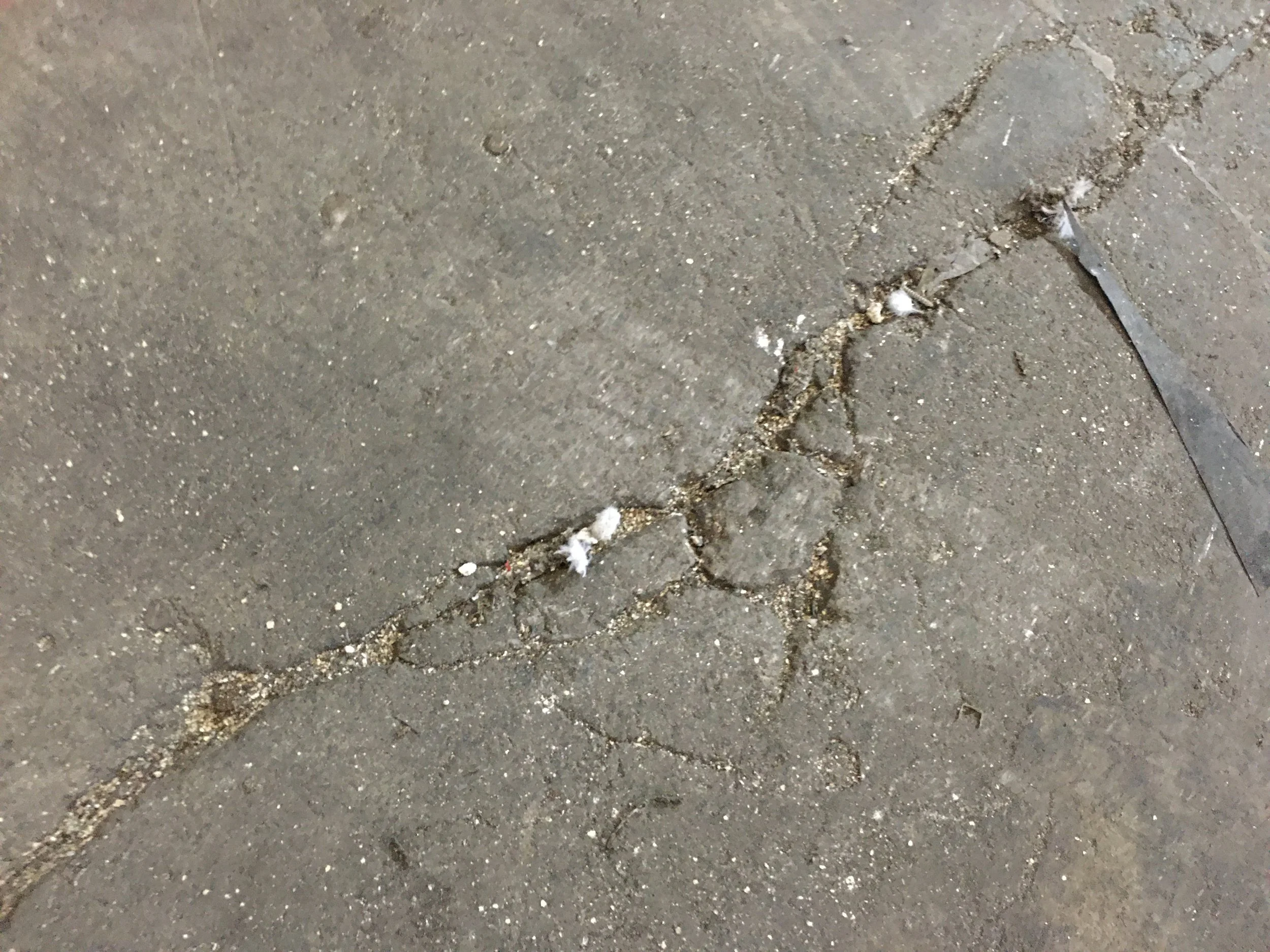 Chain Drag Delamination Survey — Constructive Evaluation Ltd