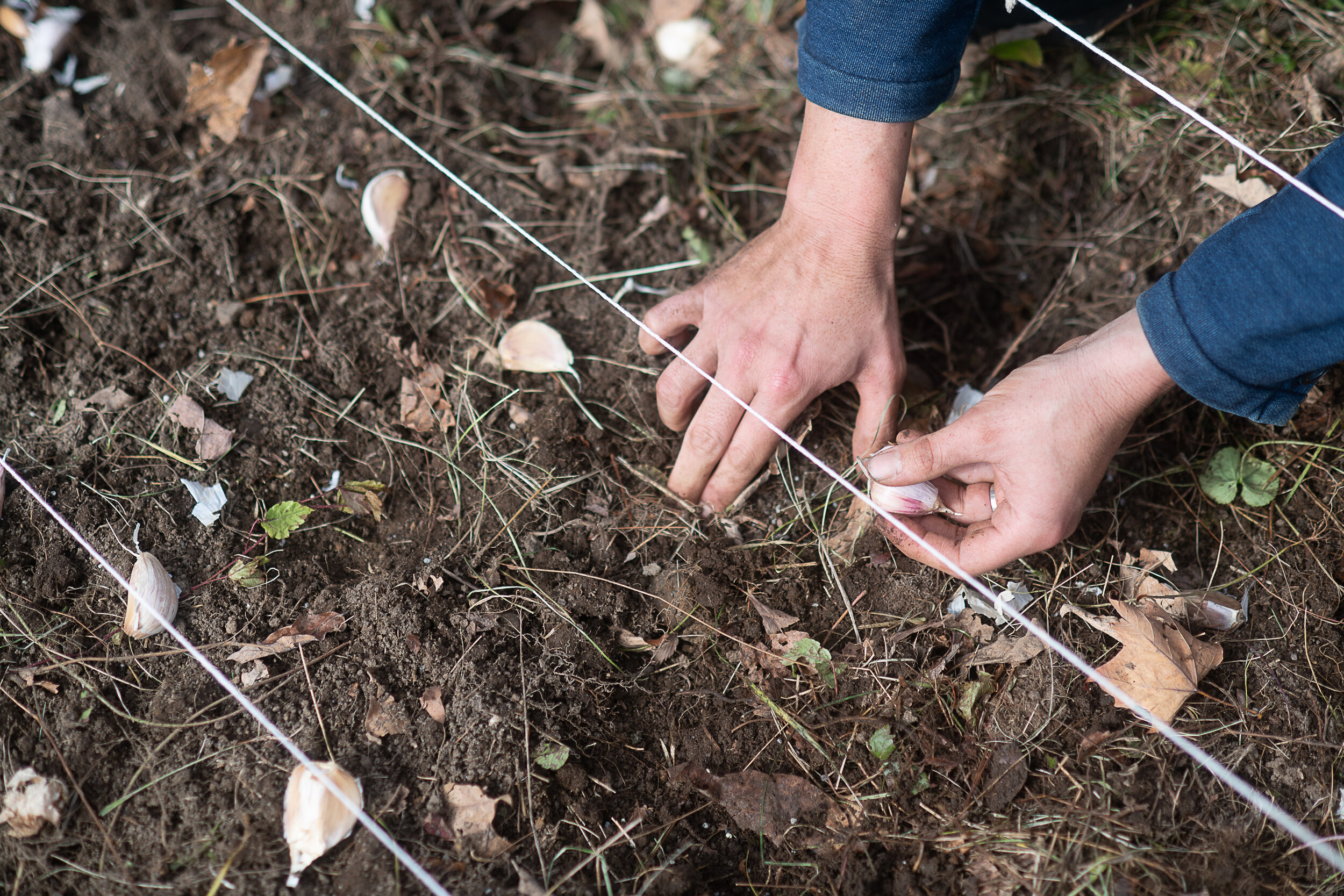20201022_AdamWeinert_Farm-BreakingGround_ChristopherDuggan_026 (1).jpg