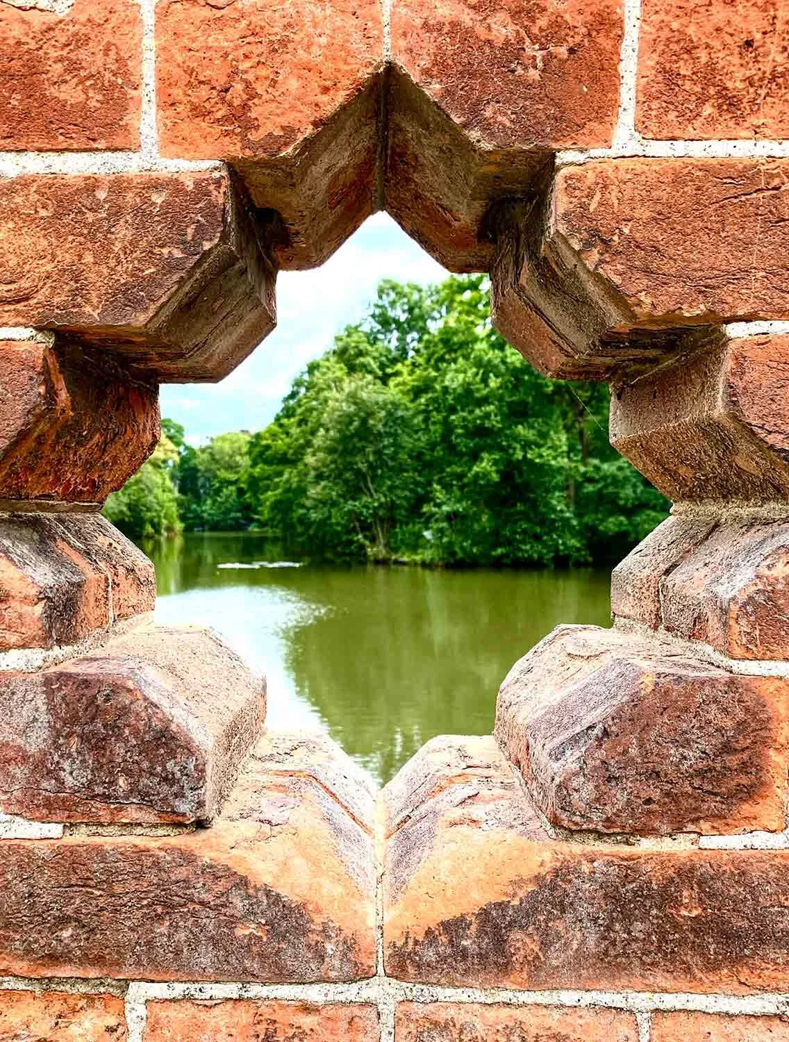 A-view-of-the-lake-from-the-bridge-on-the-Aldenham-Estate.jpg
