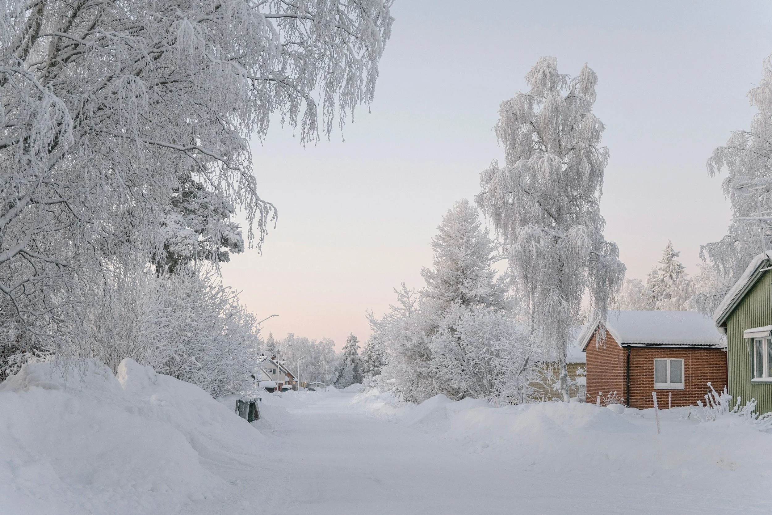 En snöig landsväg omgiven av snötäckta träd och hus under en lugn vintermorgon.