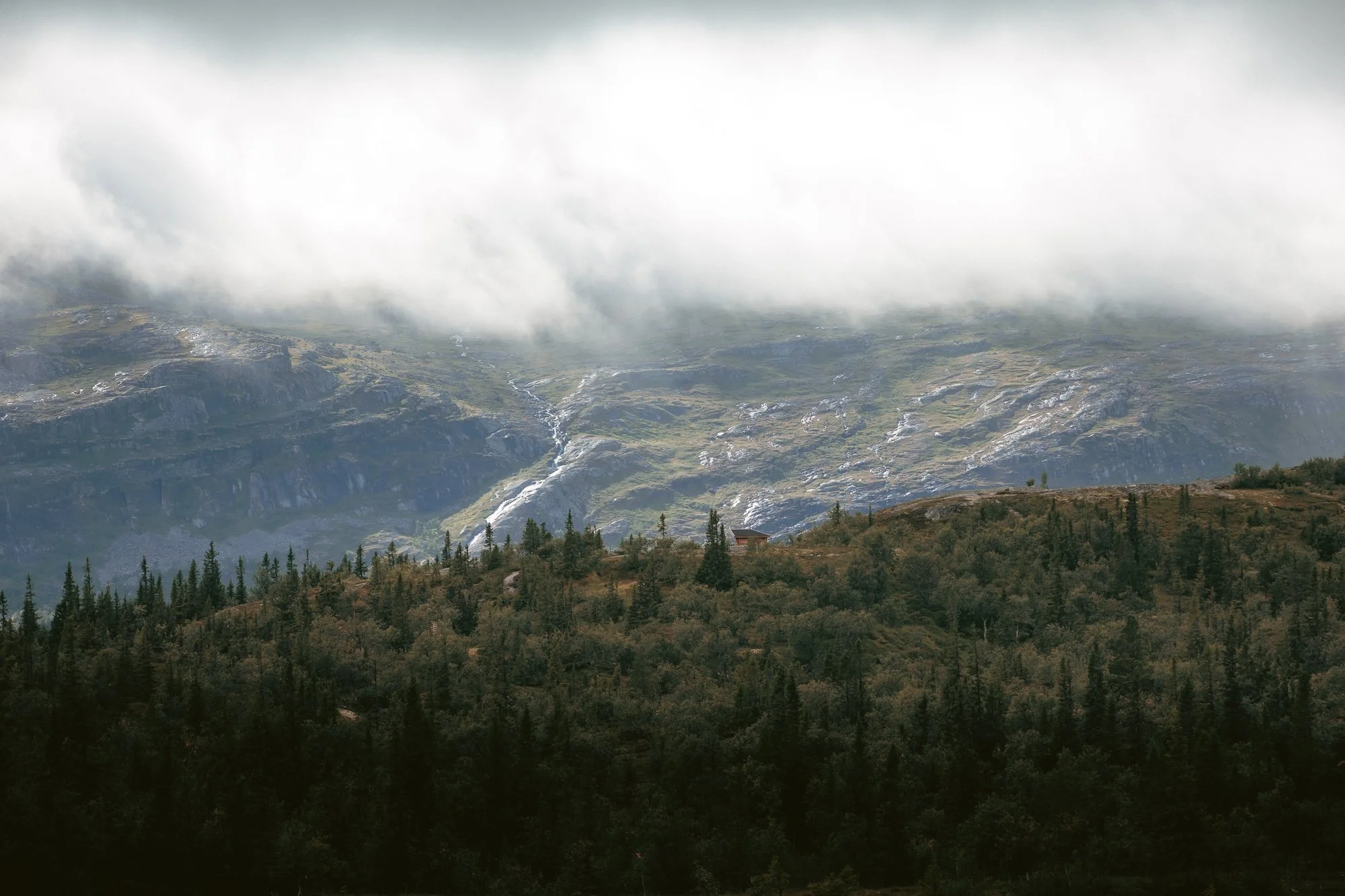 Klädd skog med berg och moln i bakgrunden.
