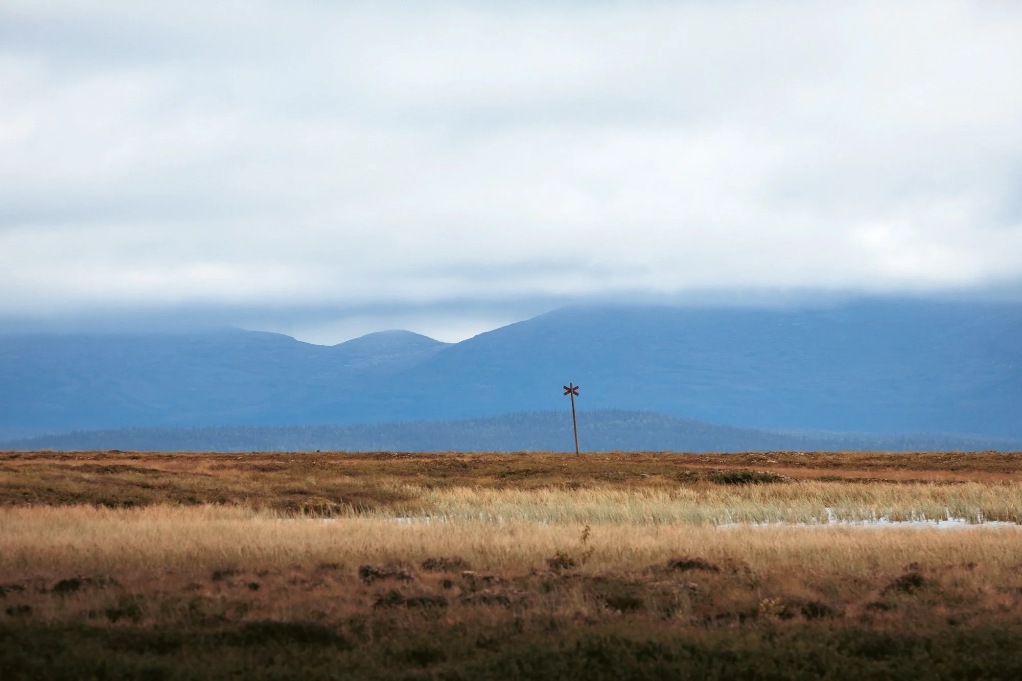 Naturen med höga berg i bakgrunden, öppet fält med läk dränering och en väderkvarn i mitten.