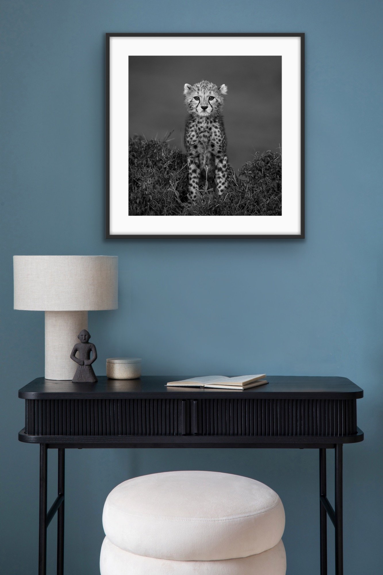 Ready for my close up room.JPG