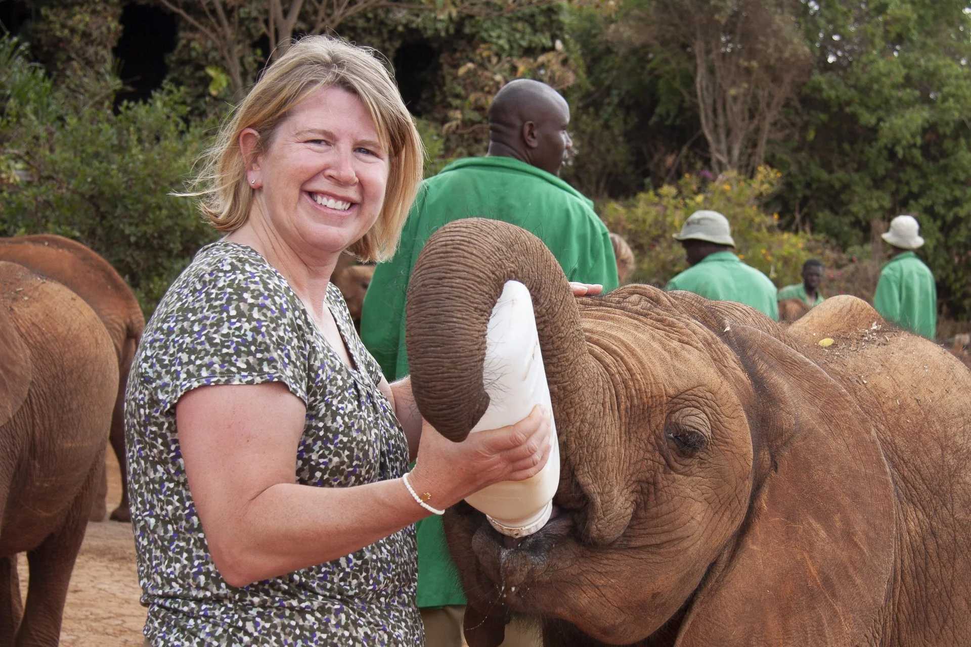 Jules Oldroyd feeding orphaned elephant