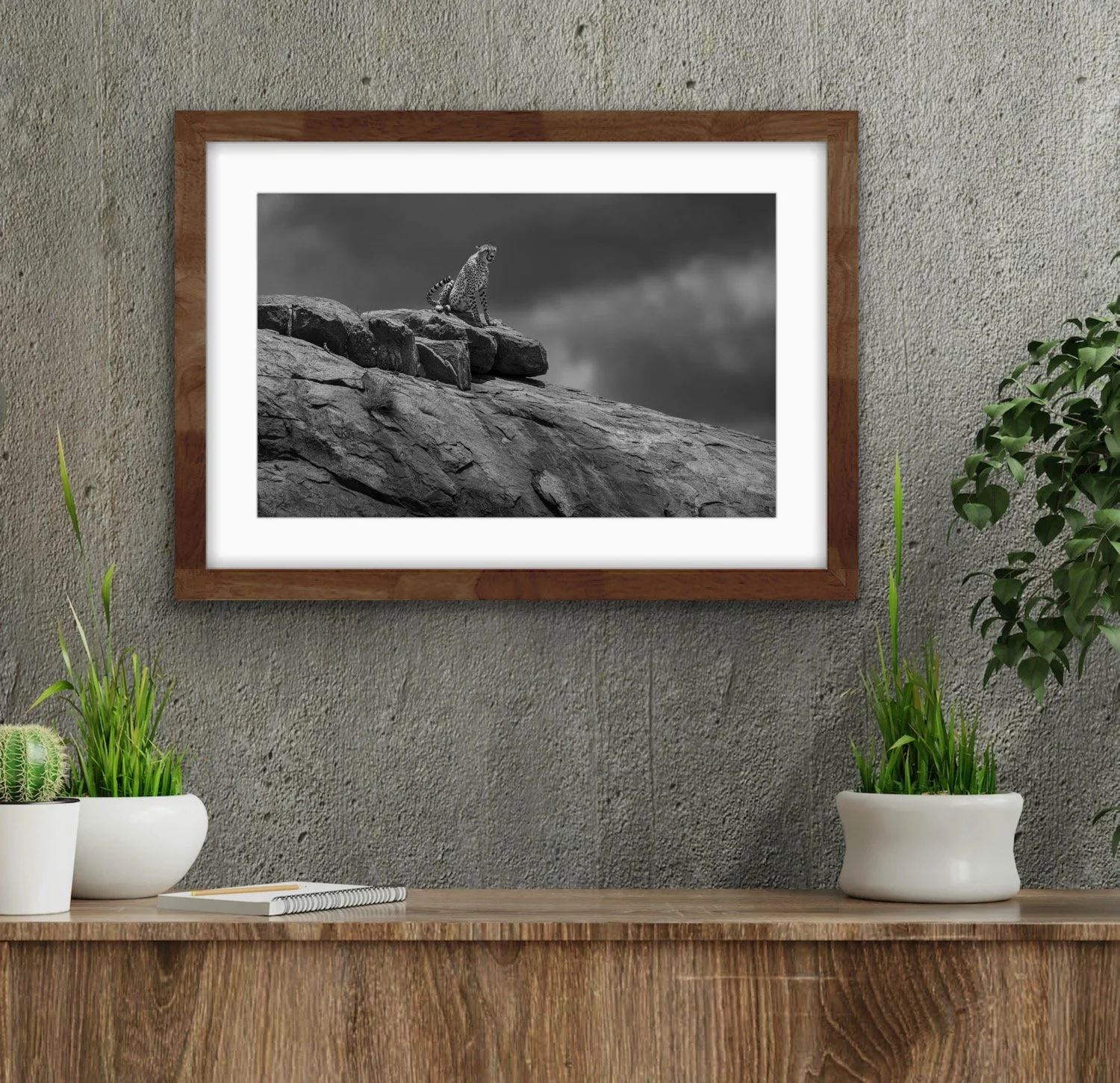 Cheetah kopje room.JPG