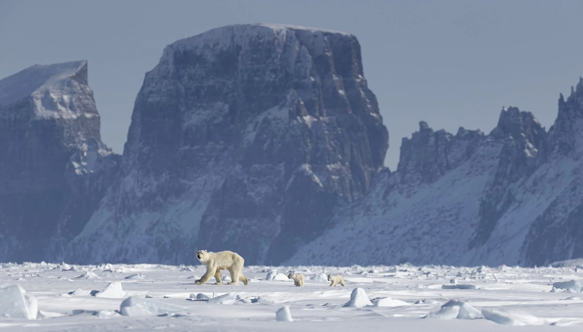 HOME  •  Baffin Island