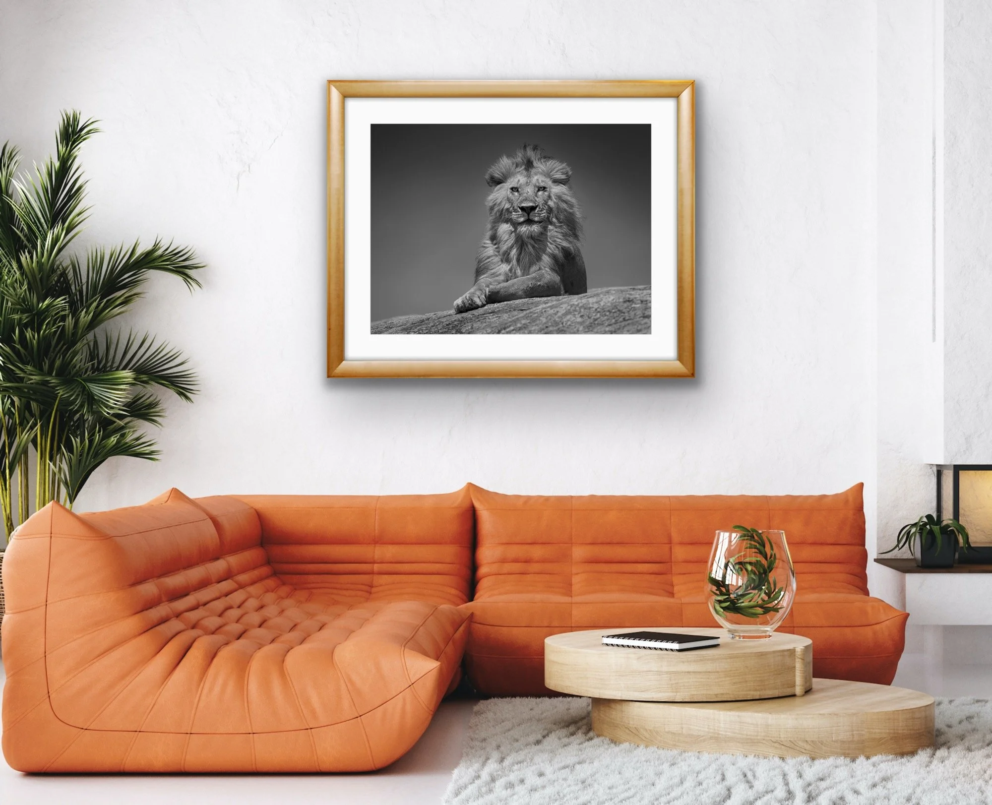 A framed photo of a sitting lion hangs on a white wall, with a burnt orange sofa and a light wooden coffee table in front. On the table stands a glass vase and a notebook.