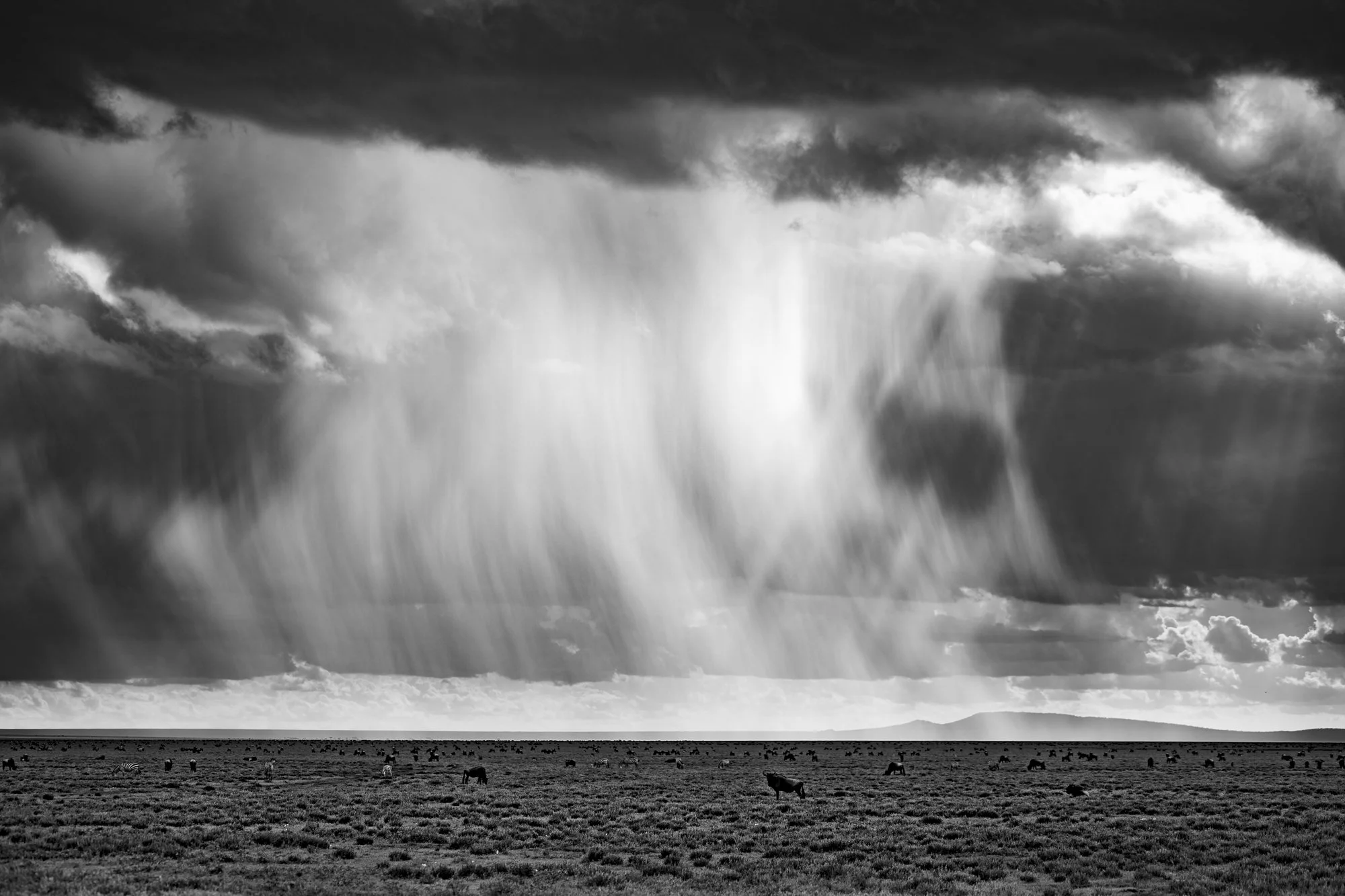 An afternoon storm in the Serengeti