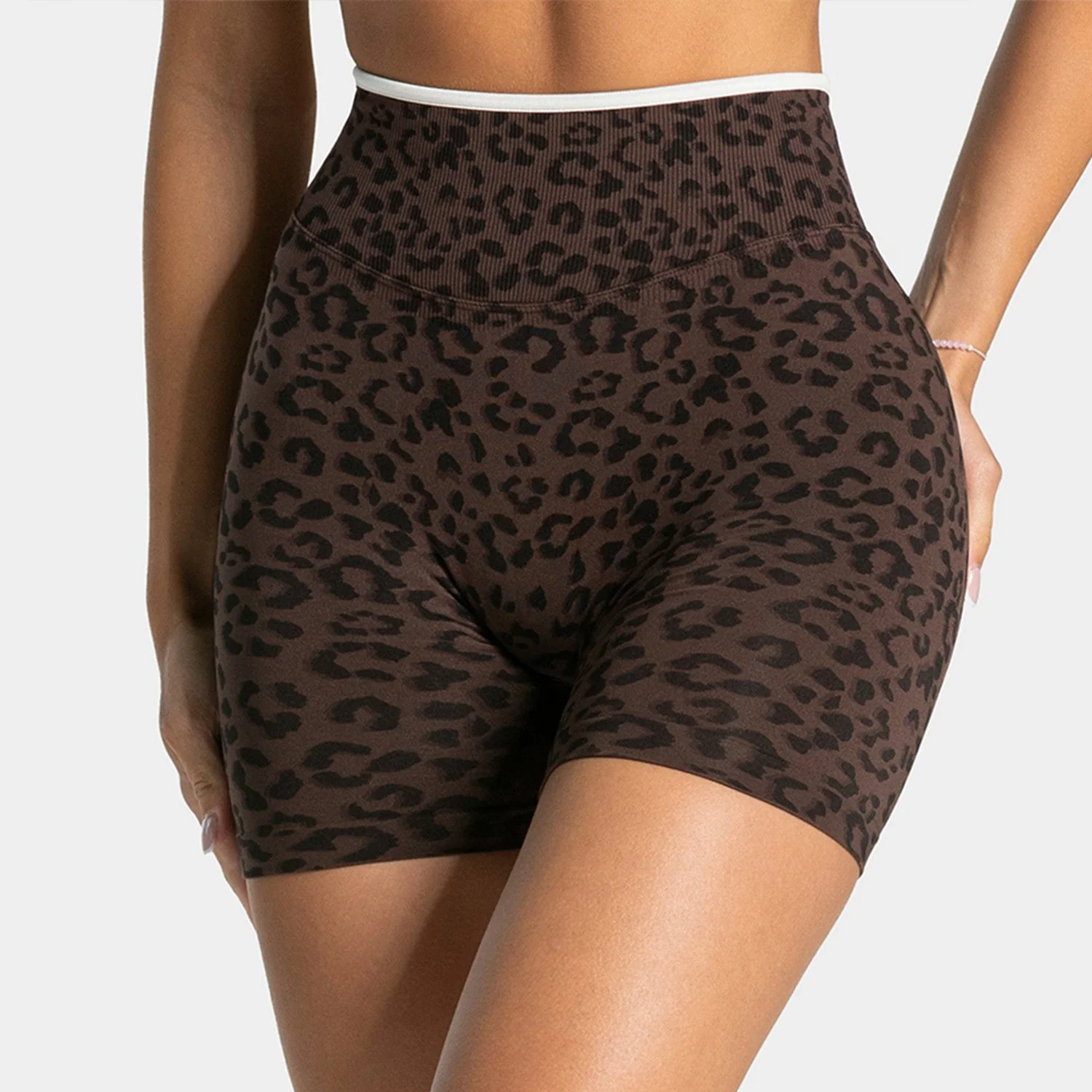 Short Brown Leopard