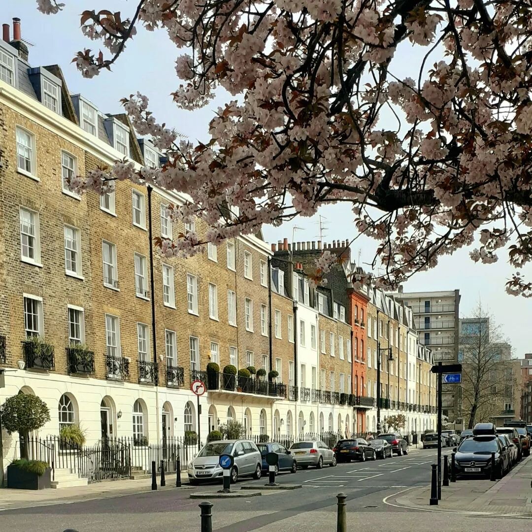 A red brick interloper in Eaton Terrace.

There is little red brick in Belgravia.&nbsp;&nbsp;The new houses going up from the 1820s onwards had facades of stucco for the grander first and second-rate houses and a mix of stucco and yellow brick for th