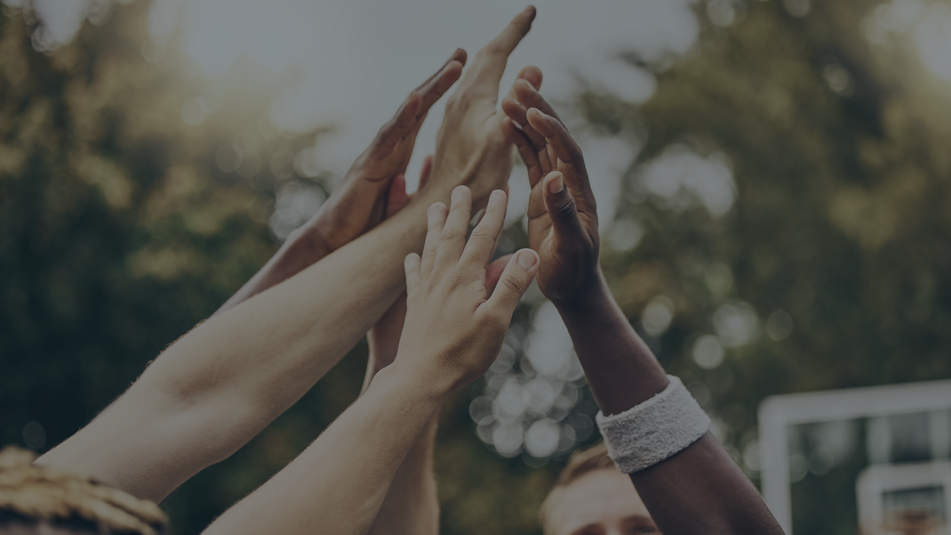 Who We Are Banner.png