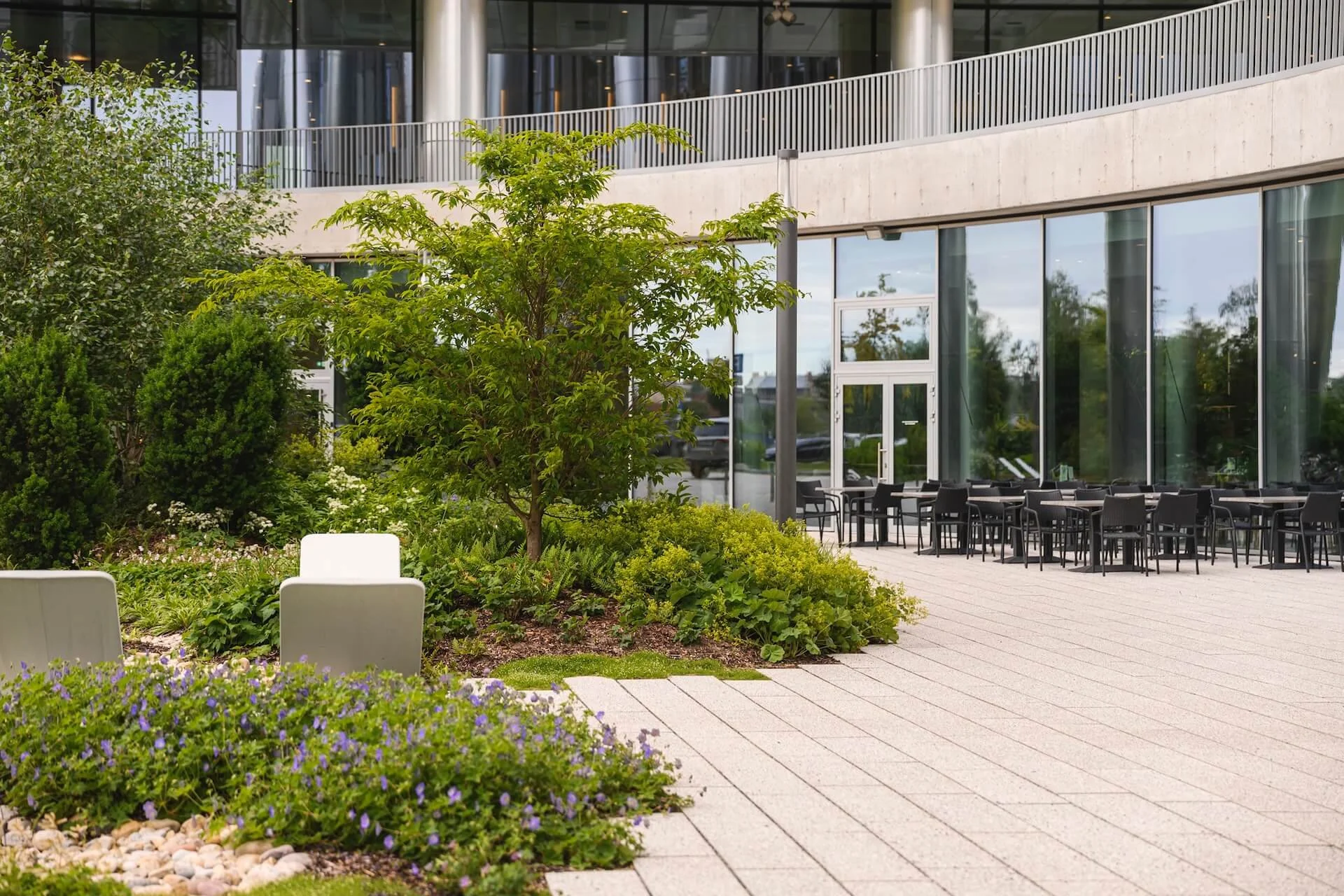 Verde-WEB pagalms-3.jpg