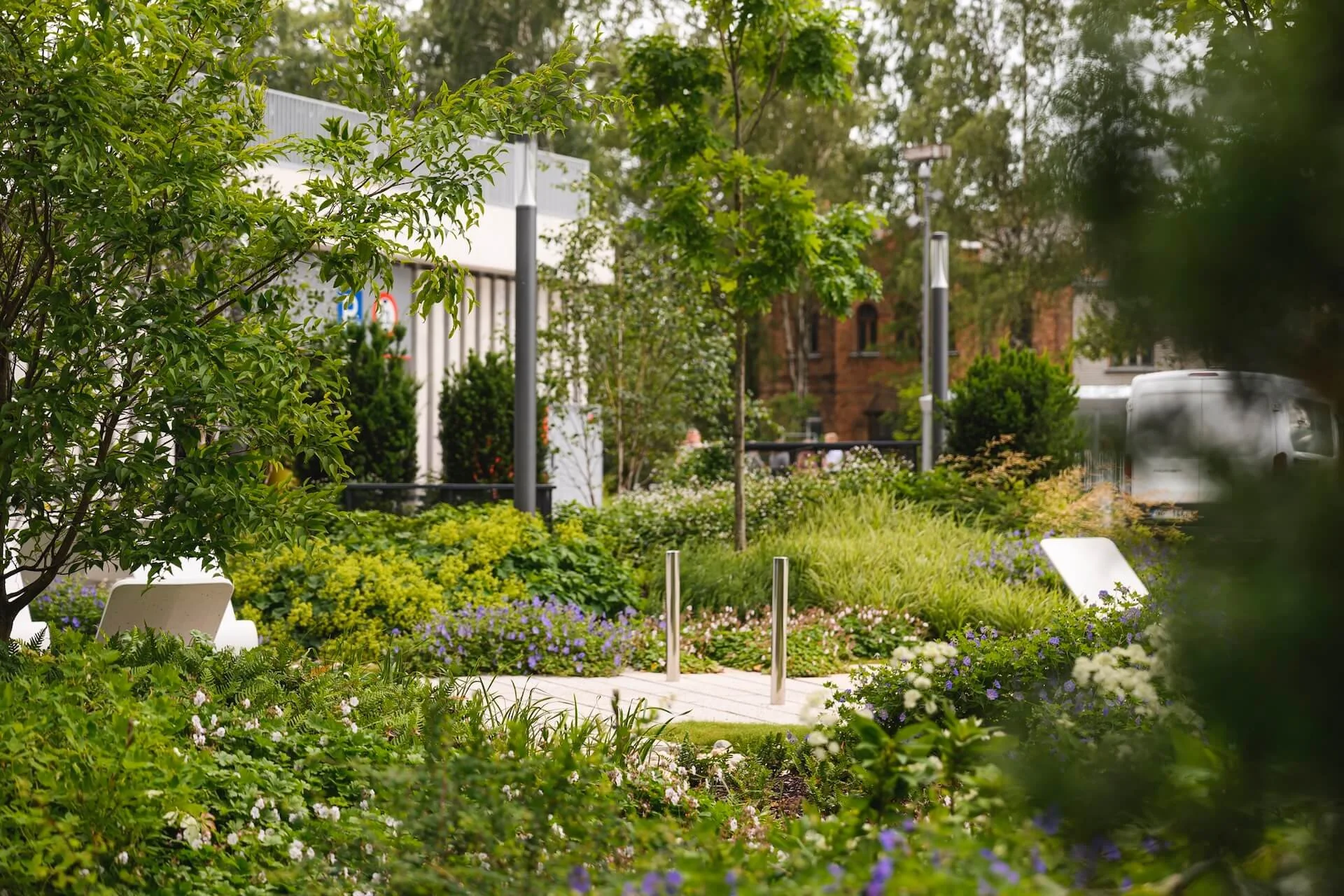 Verde-WEB pagalms-1.jpg