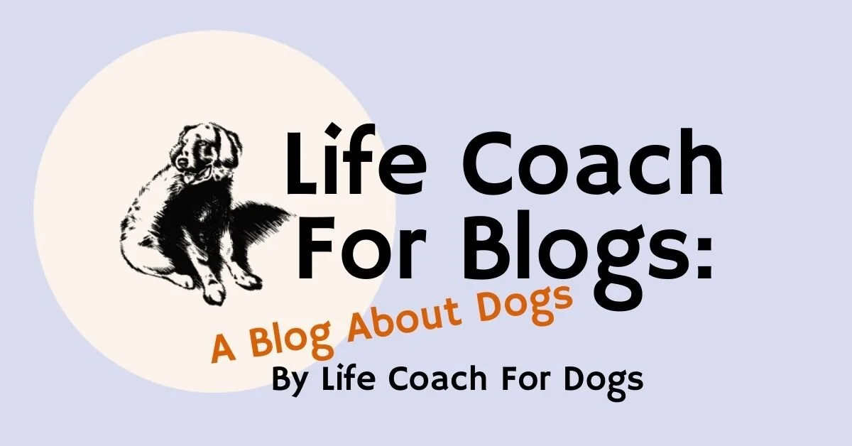 Copy of Life Coach For Dogs Blog About Dogs.jpg