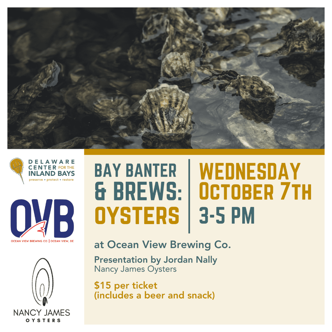 OVB_Bay Banter 10.7-3 (2).png