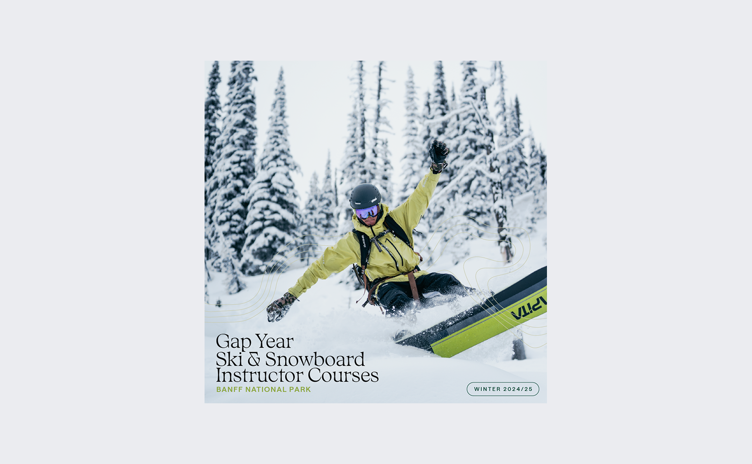 Timberline-2.png