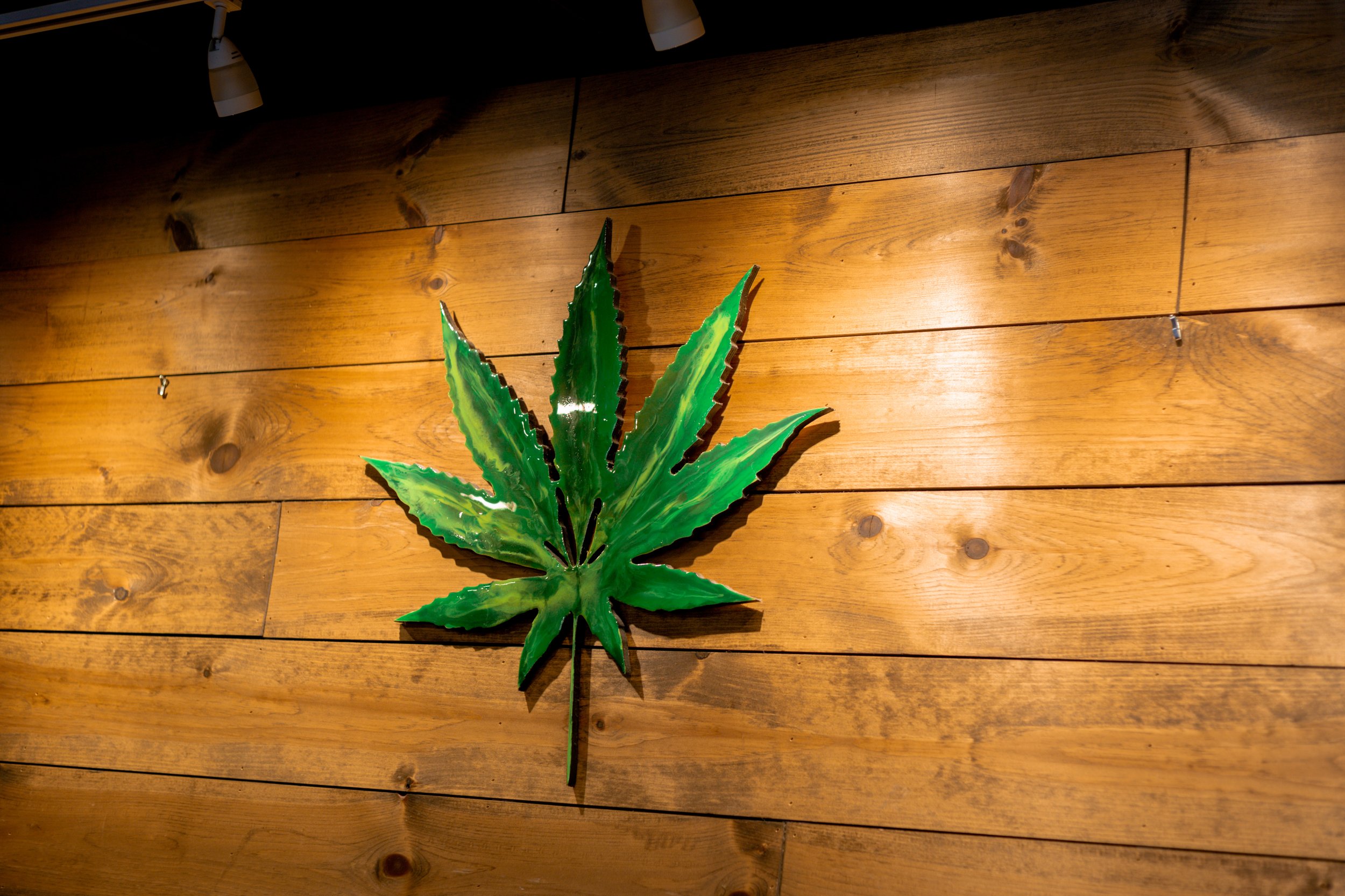 Cannabis Shop Portland Maine