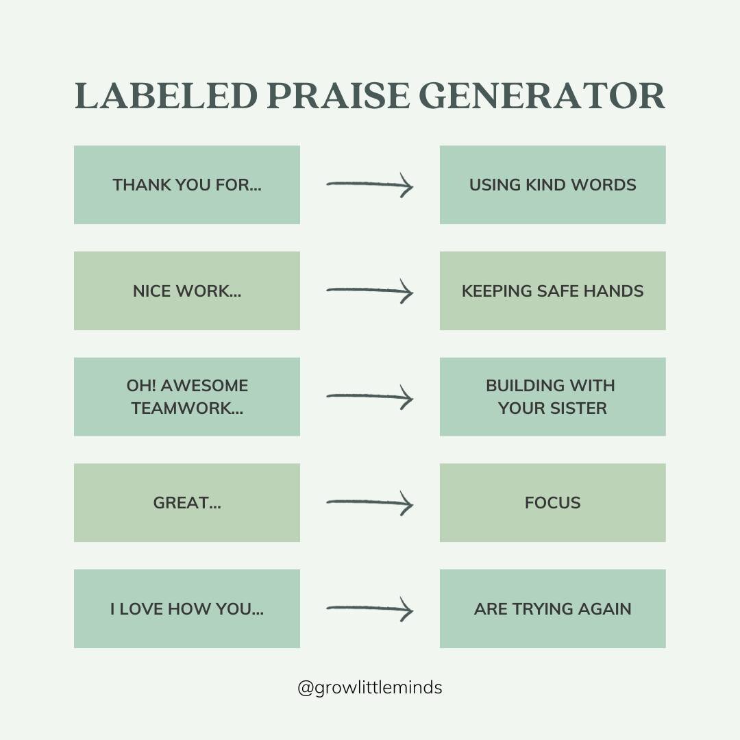 Shaping the behaviors we want to see more of involves a simple yet effective formula: 

Positive Evaluation ➕ Specific Behavior You Like = Labeled Praise. 🌟

Getting caught up in the frustration of negative behaviors (like hitting or stomping) is ea