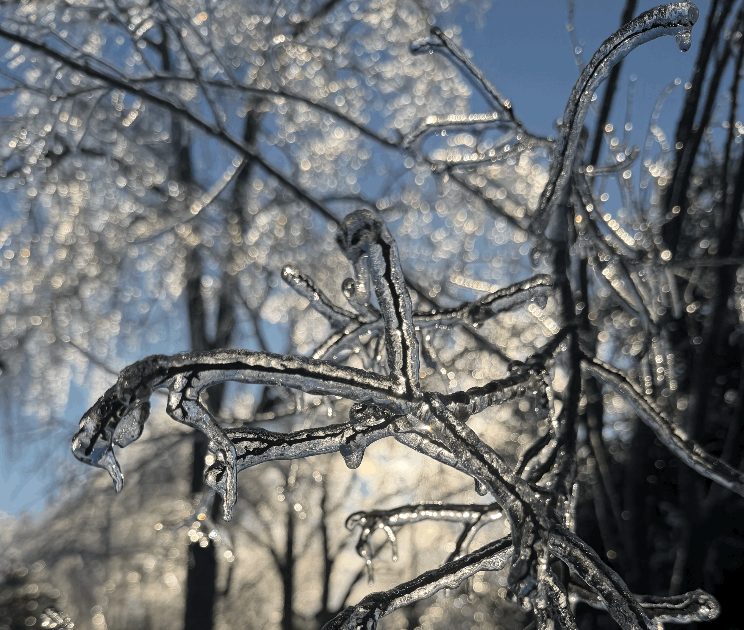 Supporting Children After Nashville's Ice Storm