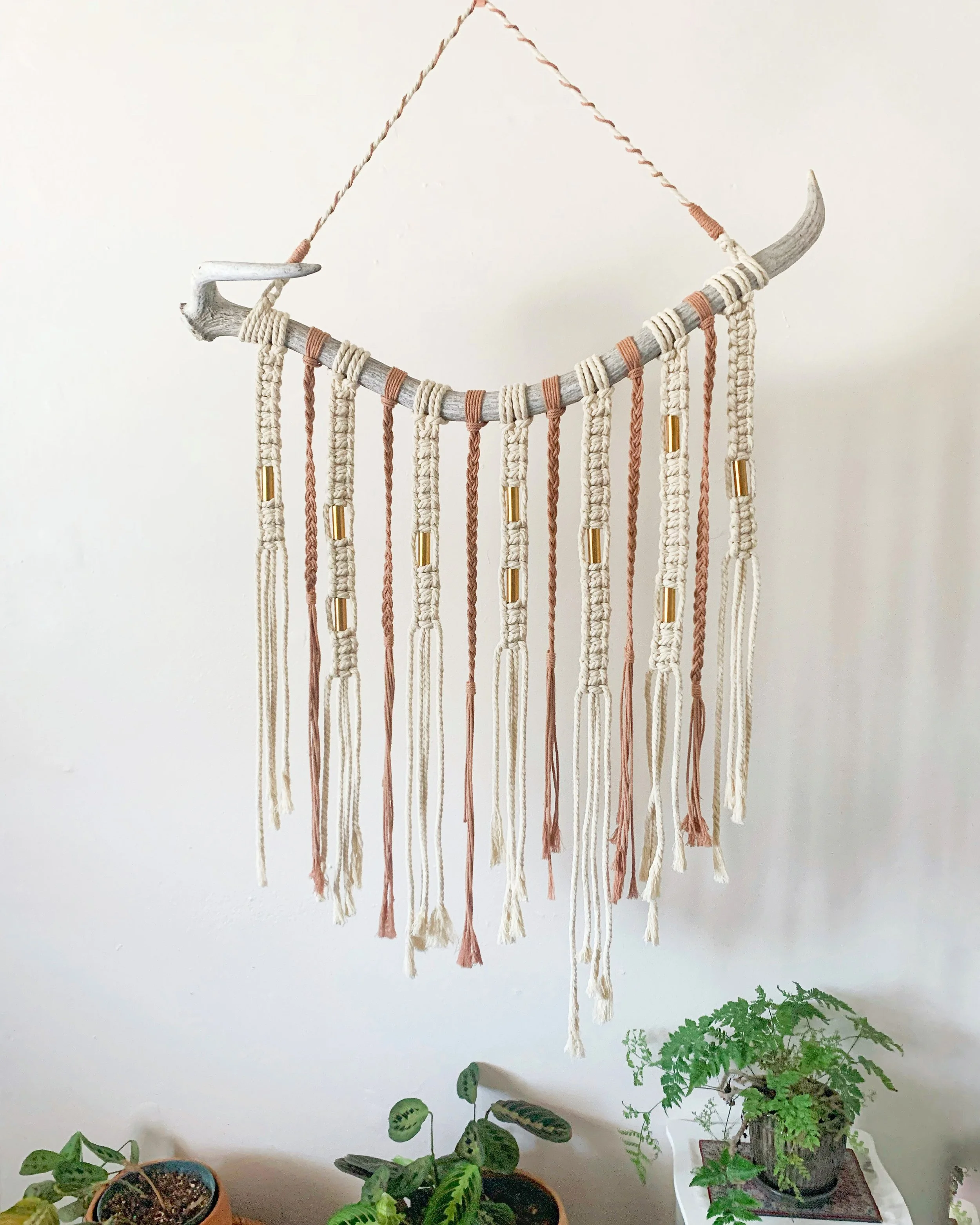 Photo Jun 07, 4 08 42 PM.jpg