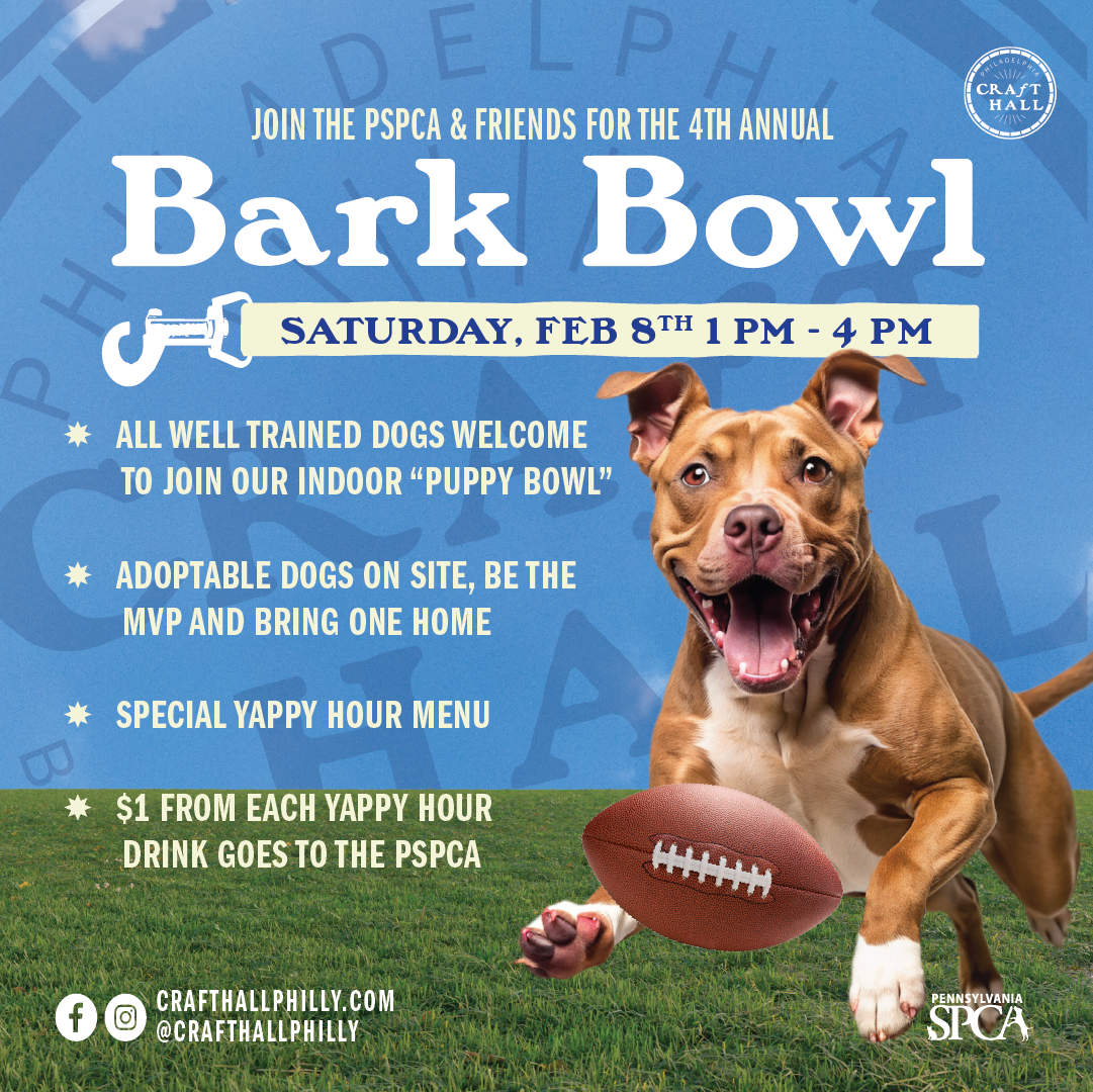 Bark Bowl 2025