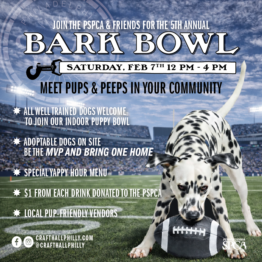 Bark Bowl