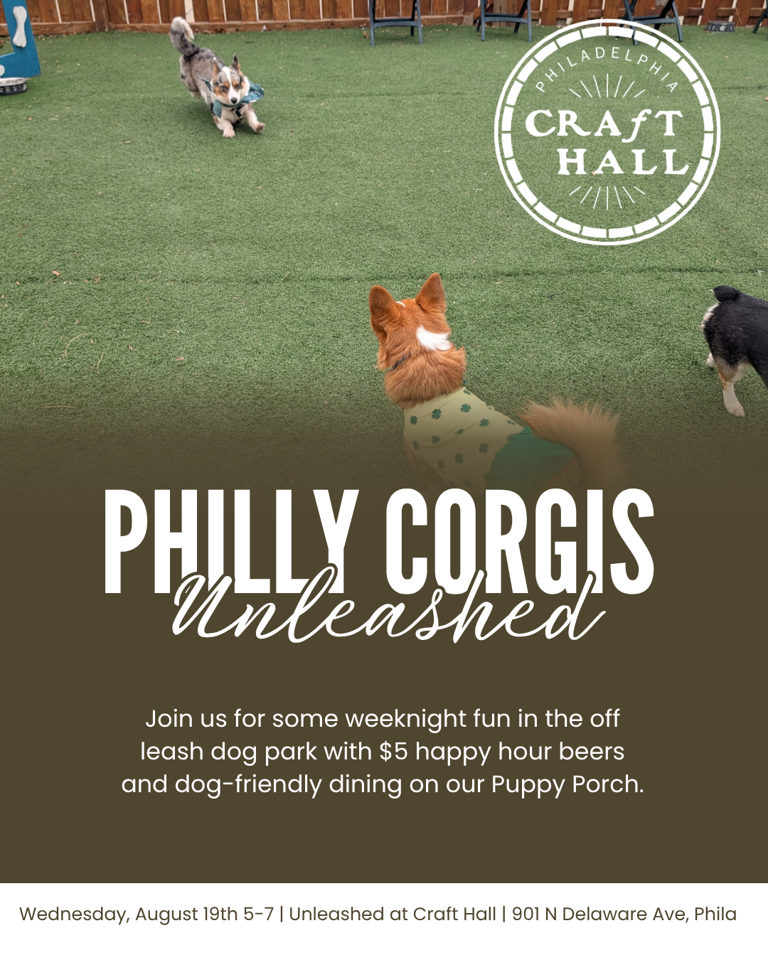 Philly Corgis Unleashed
