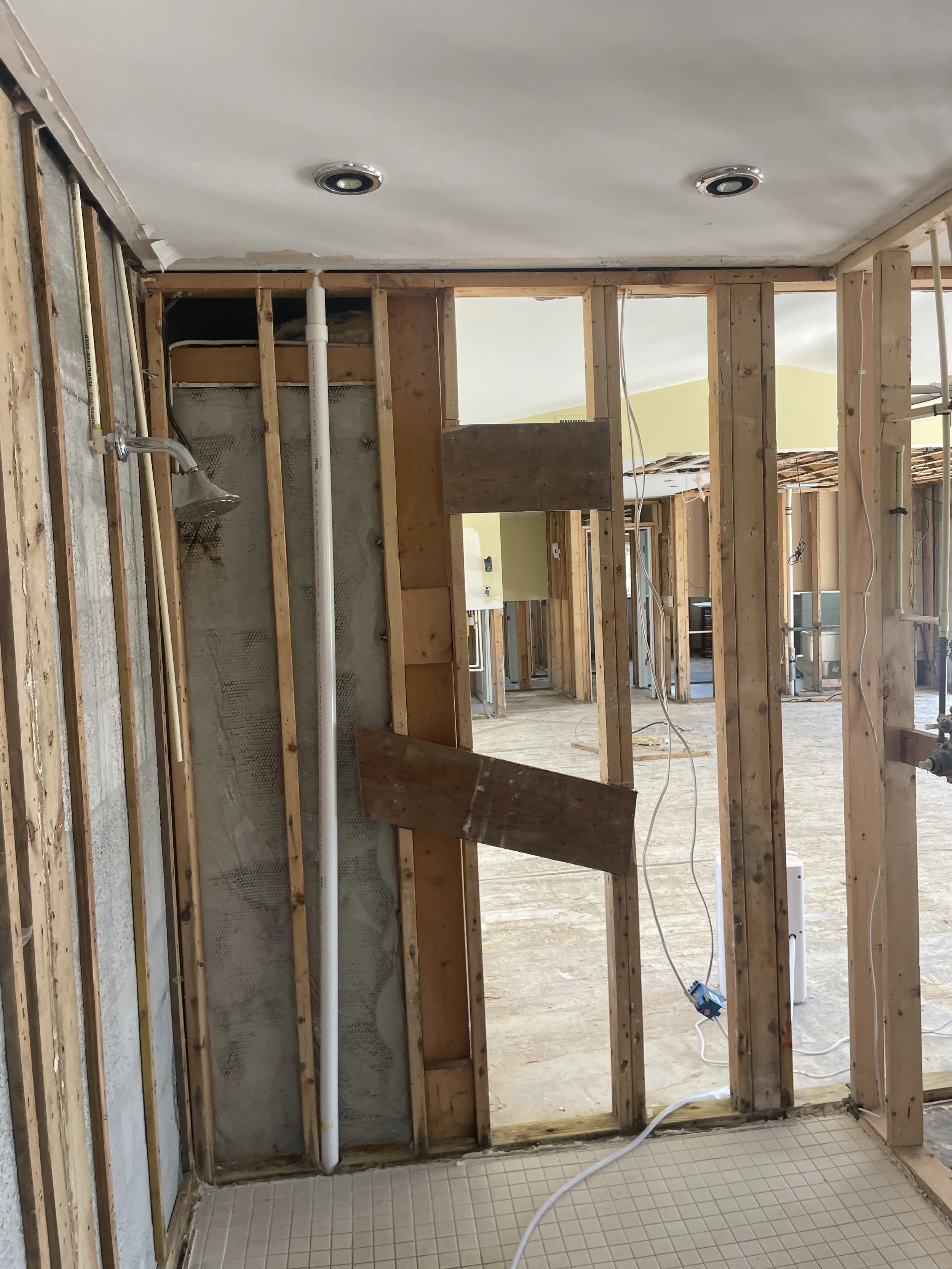 10 Master Shower Before.JPG