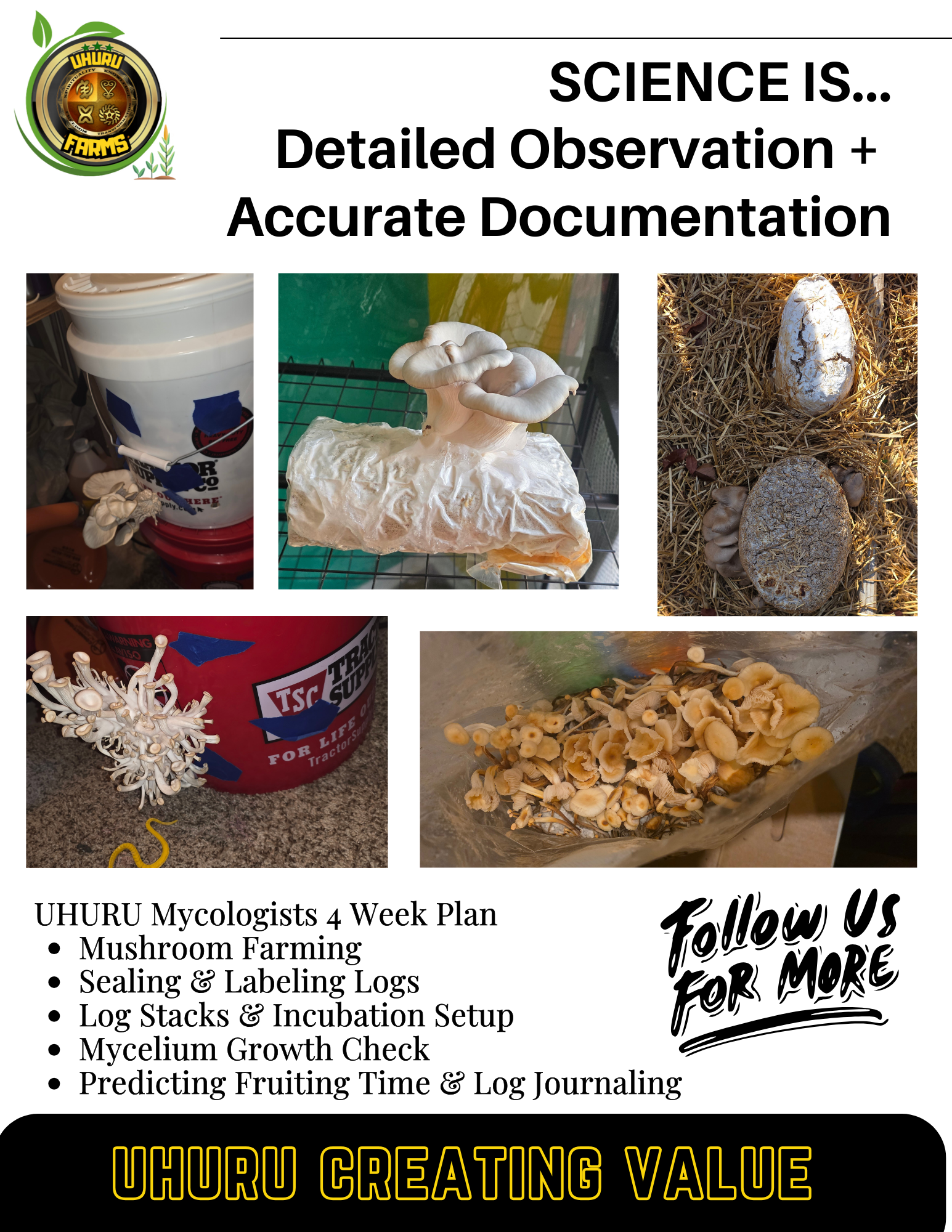 UHURU Creating Value.png