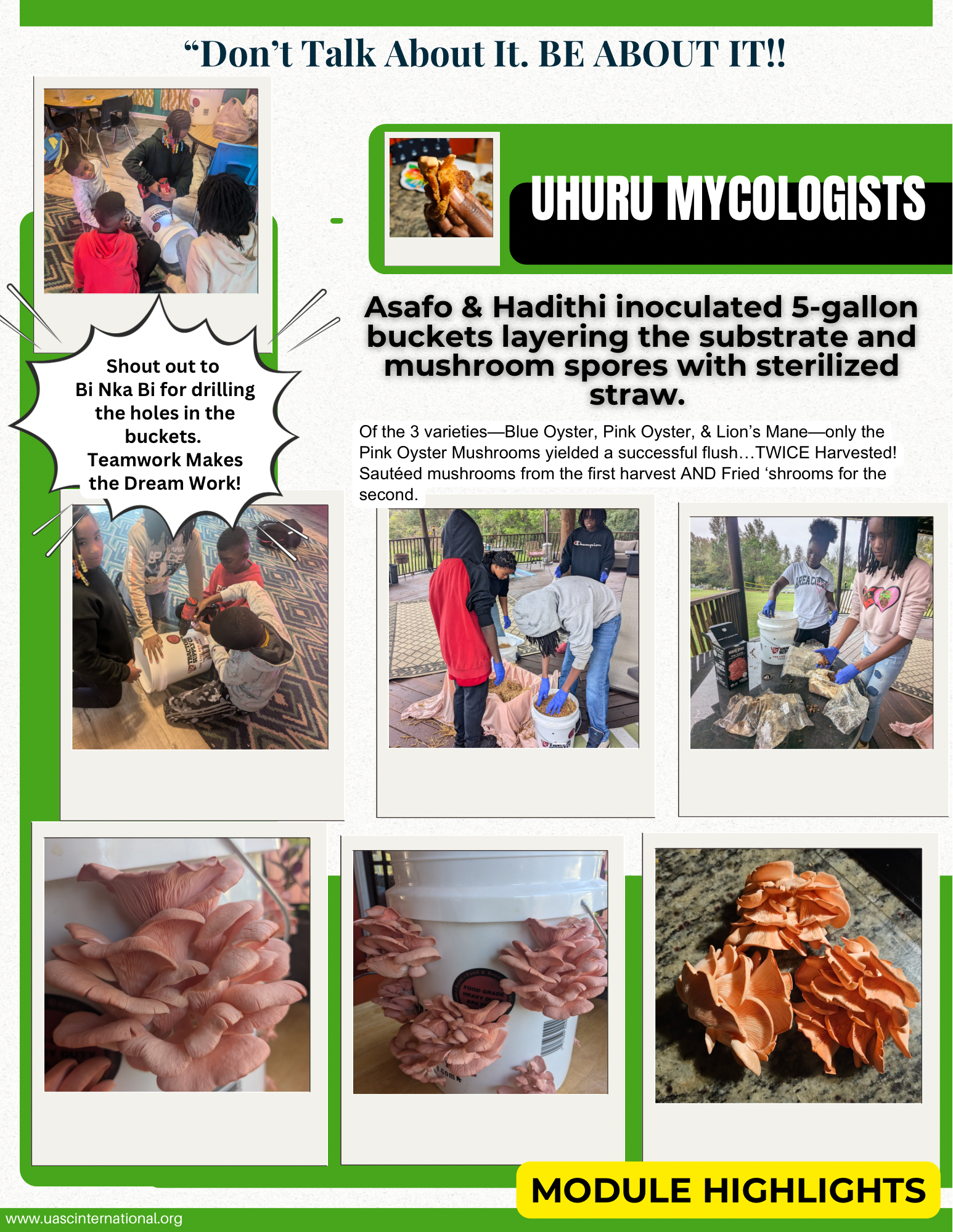 THE SCRIBES OF UHURU Issue #5 - Module Highlights.png