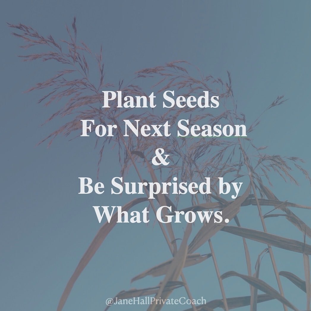 When we plant seeds for the next season, we are not always sure what is going to grow. We are often surprised by what comes from our efforts, or how things end up taking form and blossoming. 
Planting a seed is about putting something small into act