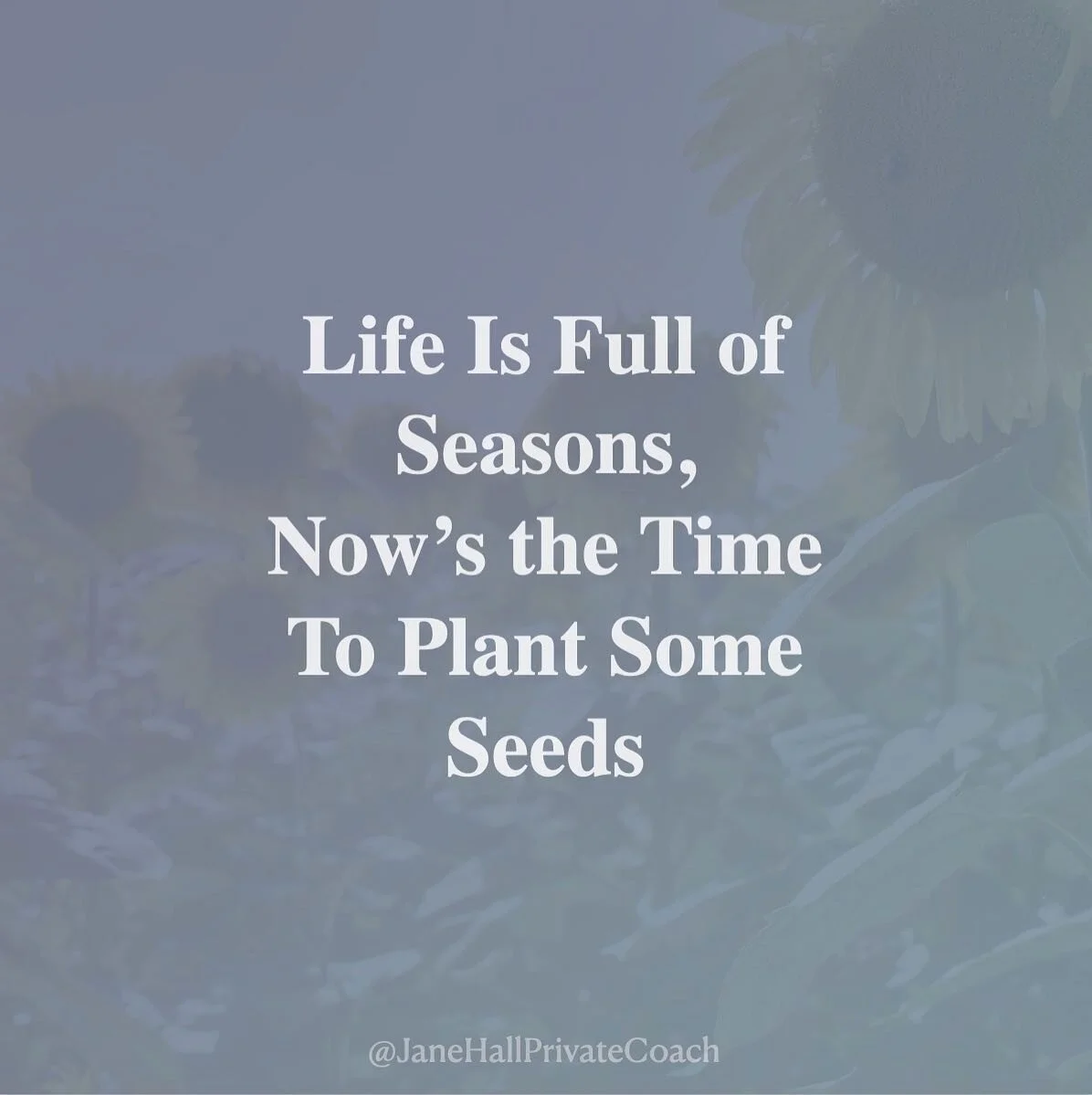 Life is full of seasons, and with every season comes change. Sometimes this change can be unexpected, joyous, challenging, relieving, or completely out of our control. There are growing seasons and harvesting seasons, and even time for stasis and res