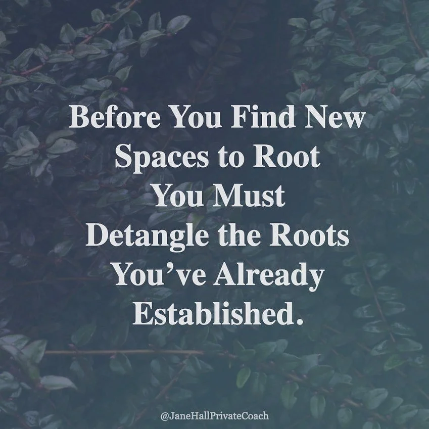 Many professionals find themselves with the desire to transition into new professional areas, yet are unsure what elements of their current professional success to leave behind and what to bring along. Oftentimes, before we can find new spaces to roo