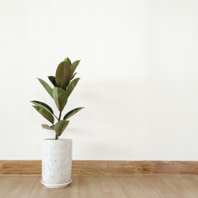 Personal Real Estate Corporation (PREC) in BC: A Realtor’s Guide to Incorporating