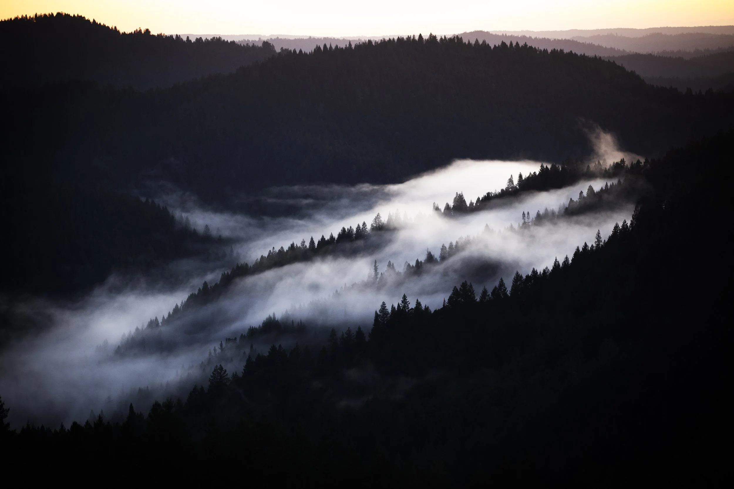 Mendocino_575A9551.jpg
