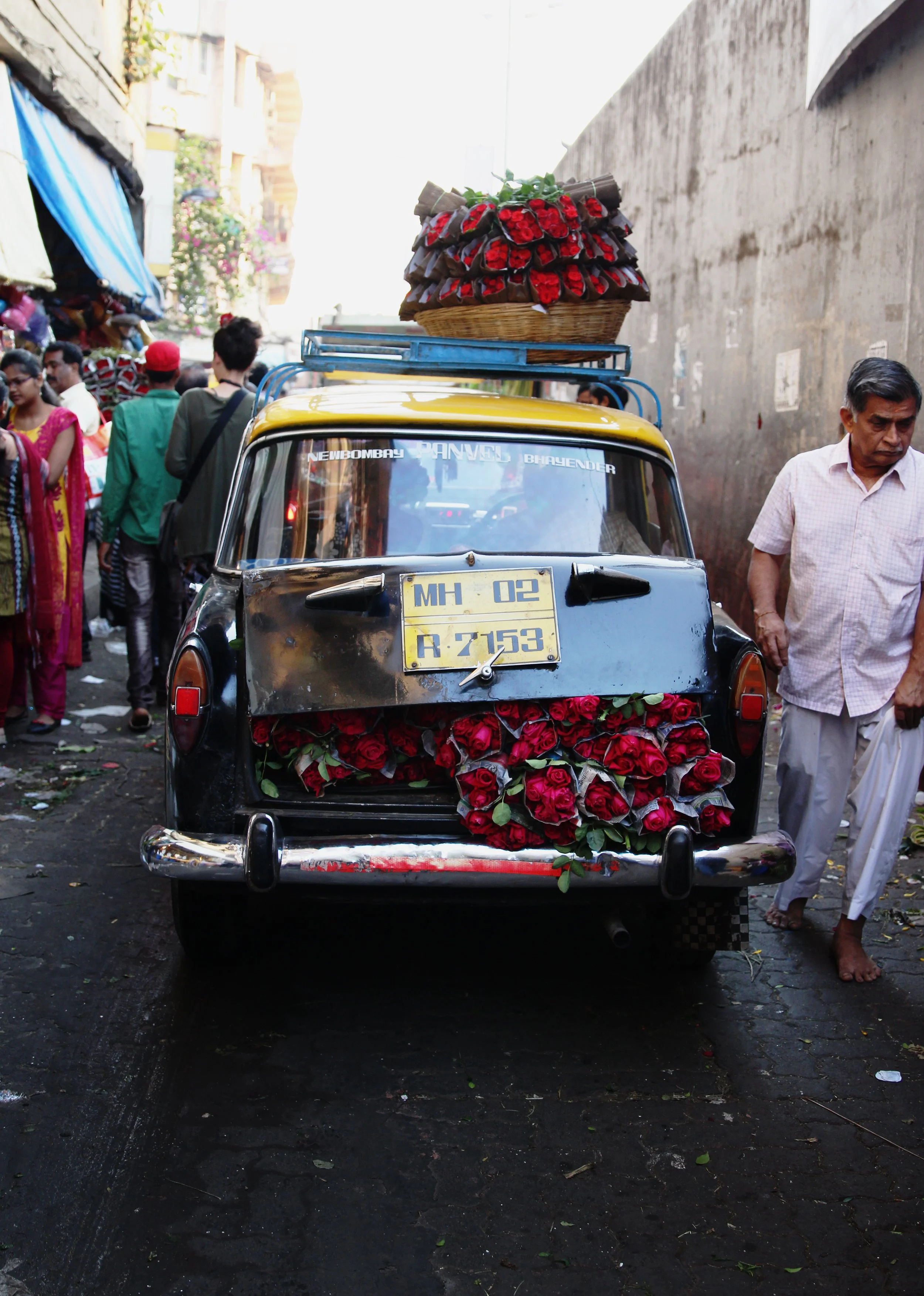 roses_mumbai_2469.jpg