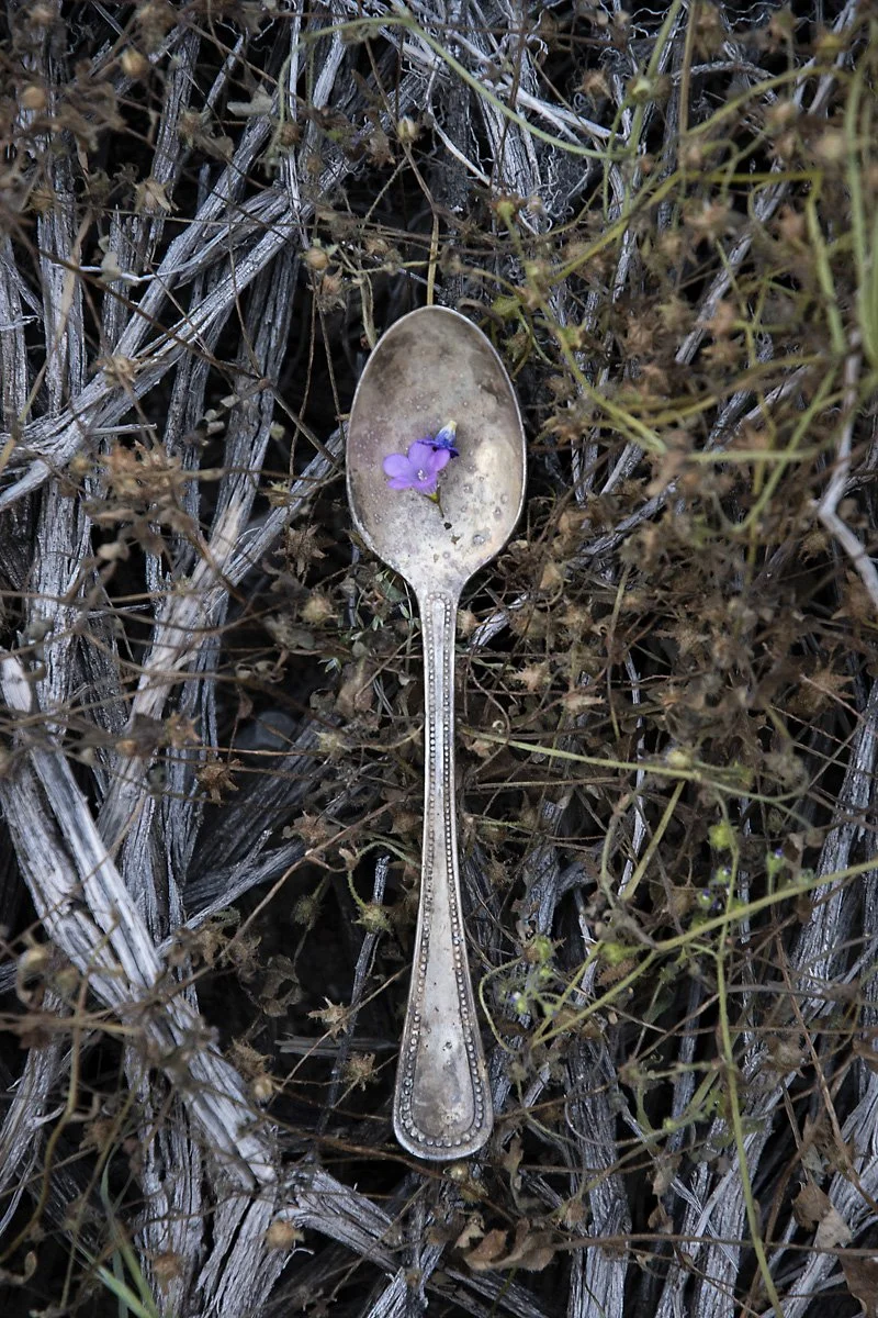 SaltoftheSoil2024Bestard17.jpg