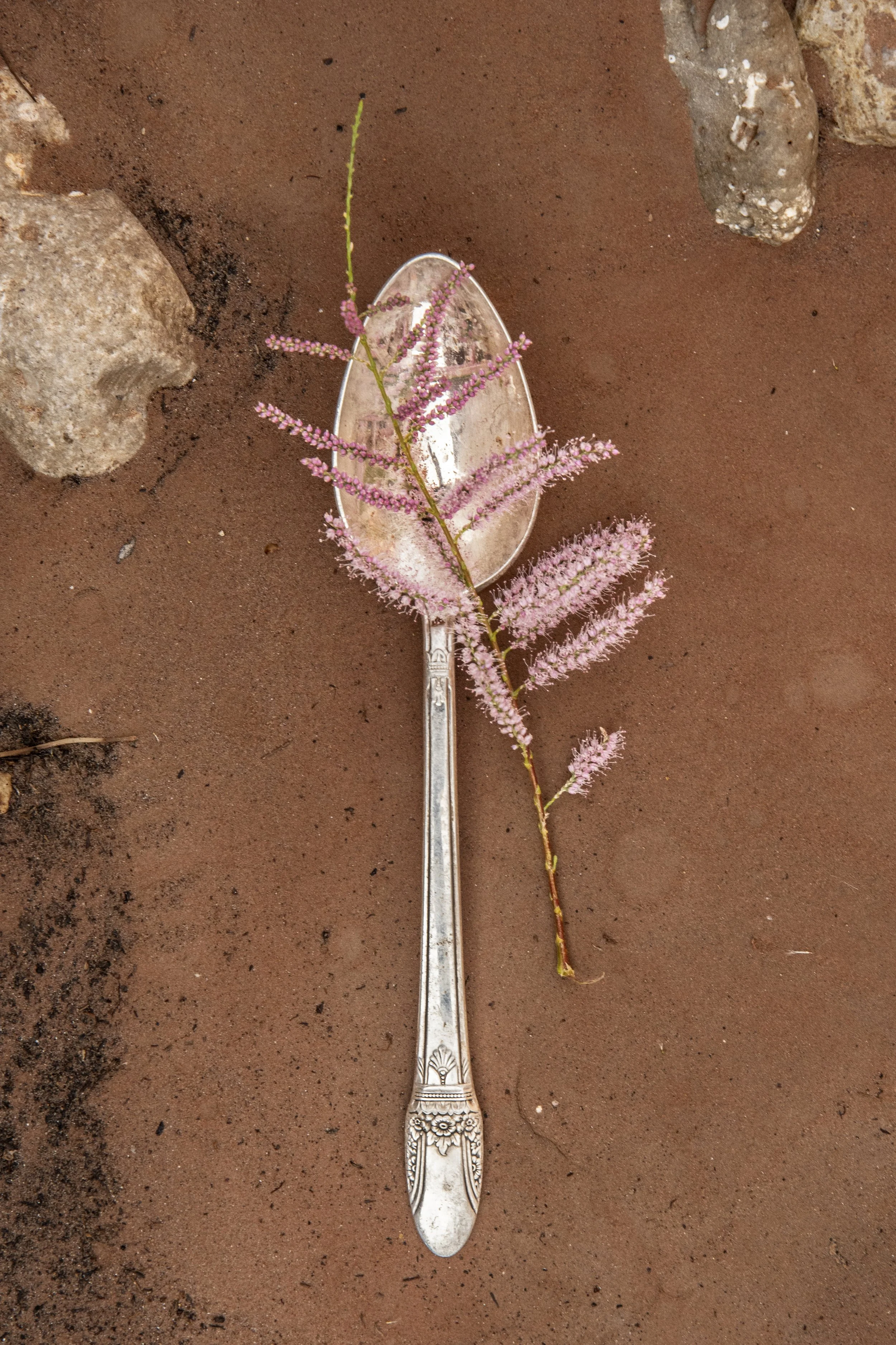 BestardWOM2021NovRAW12TamariskFlowerSpoonFLAT.jpg