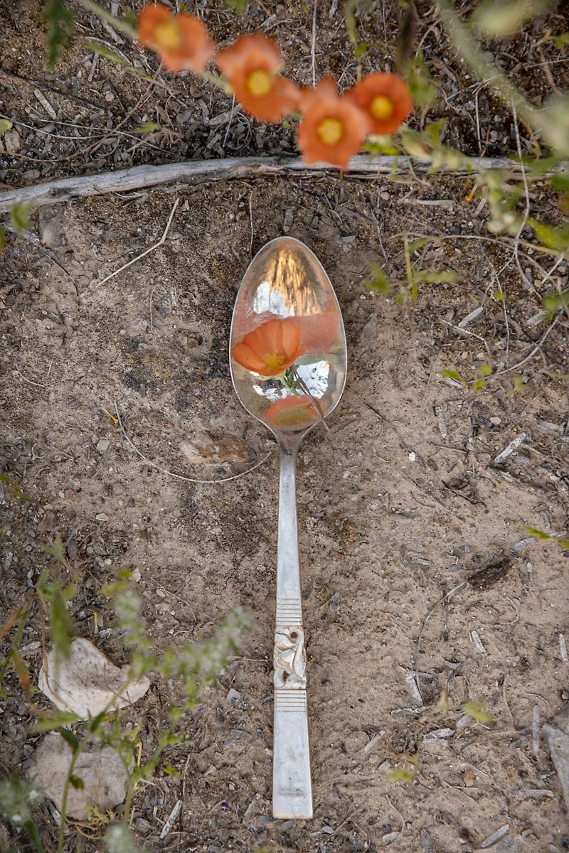 SaltoftheSoil2024Bestard11.jpg