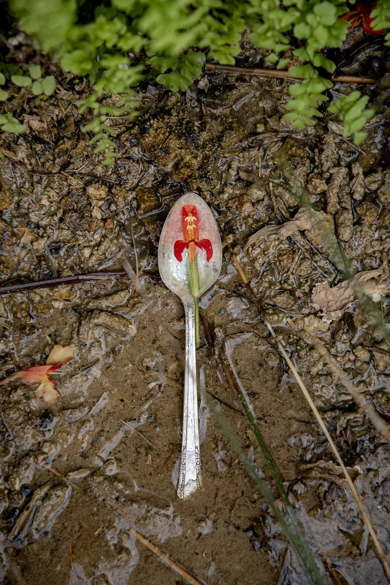 SaltoftheSoil2024Bestard07.jpg