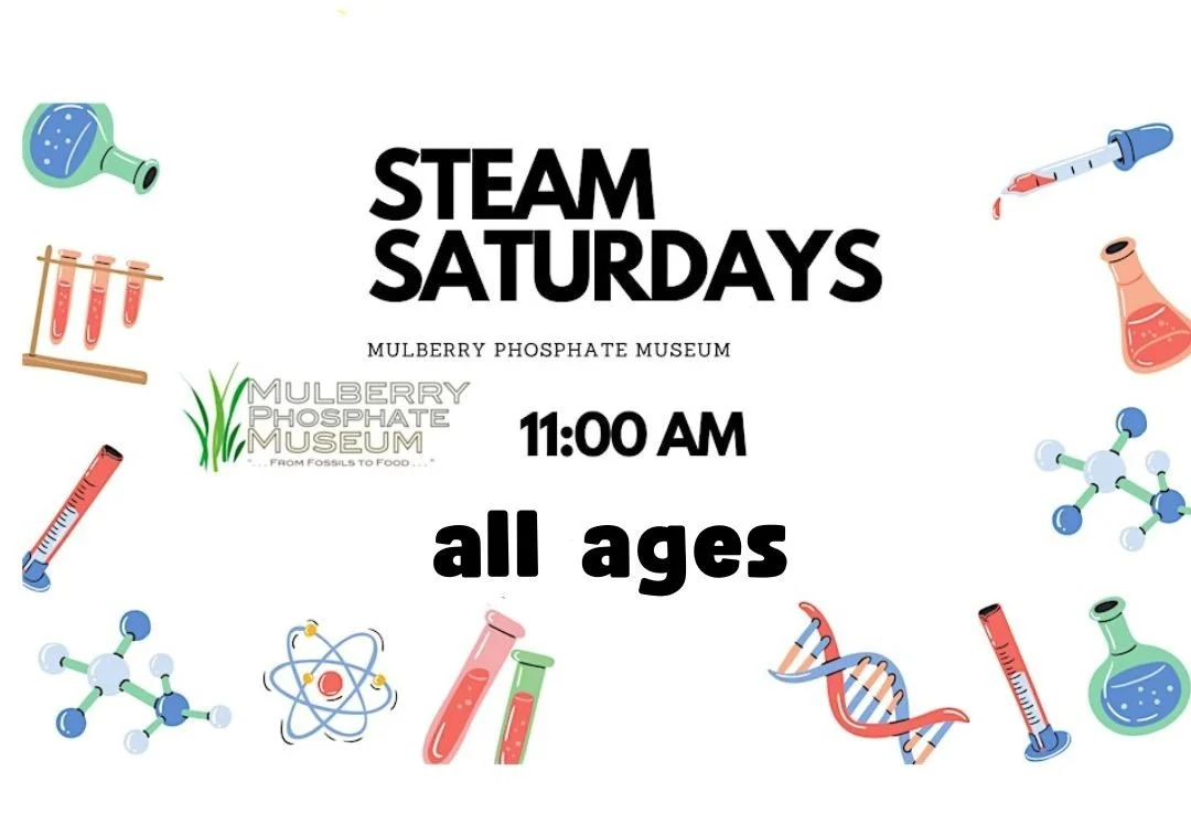 STEAM Saturdays