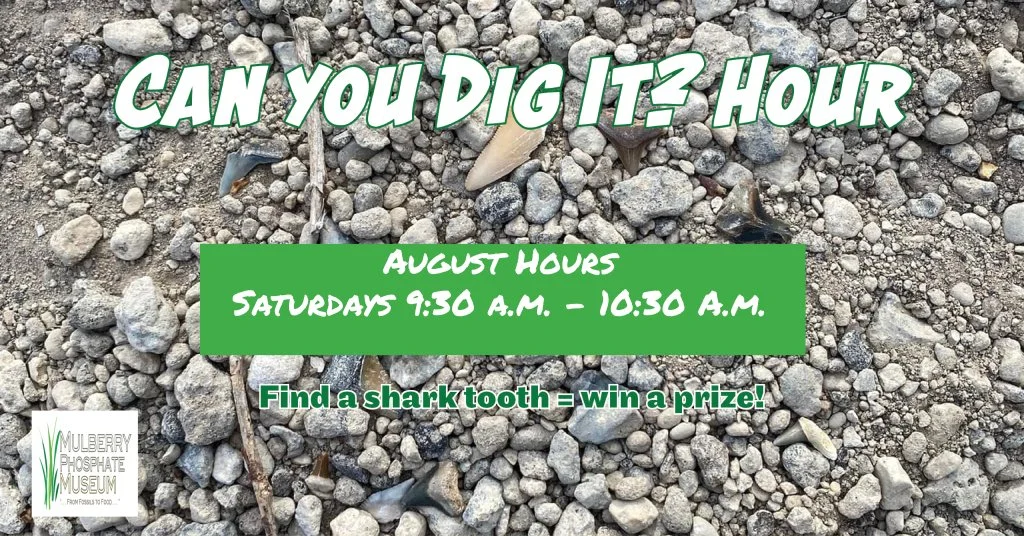 Can You Dig It?