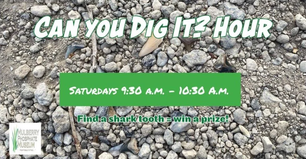 Can You Dig It?